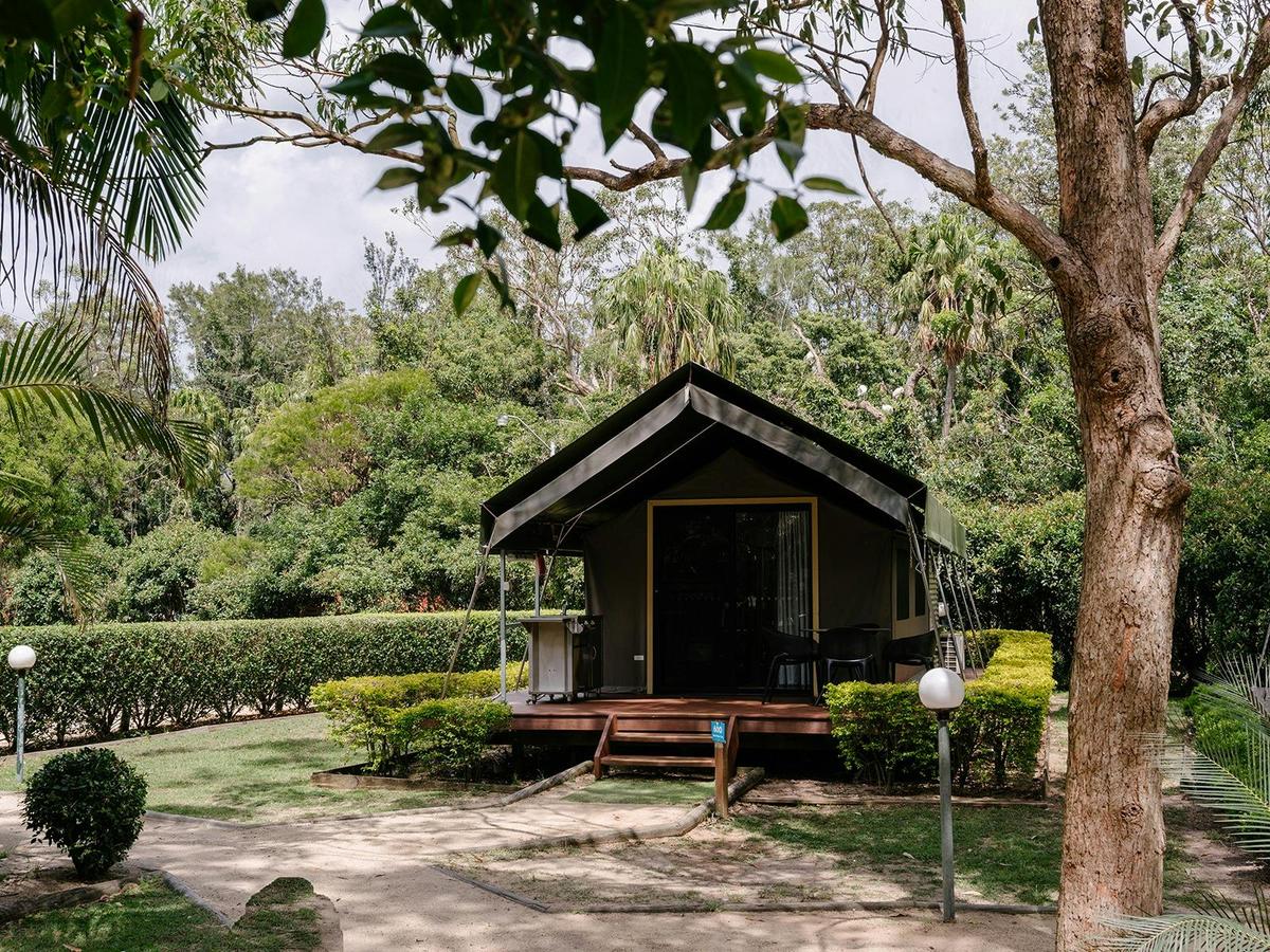 Safari Palm Tent | Exterior