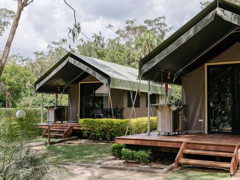 Safari Palm Tent