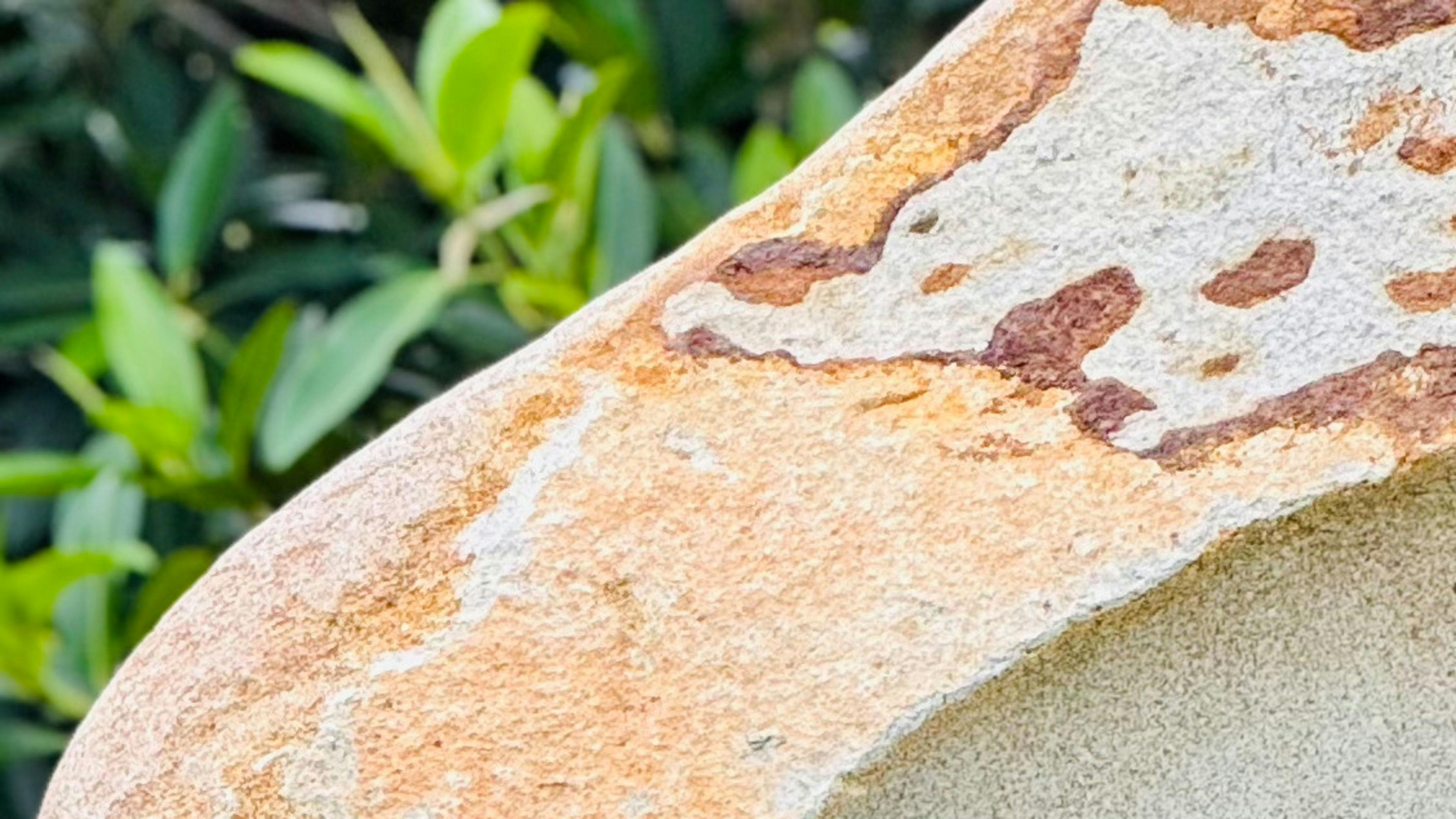 Nimbin Village Sanctuary