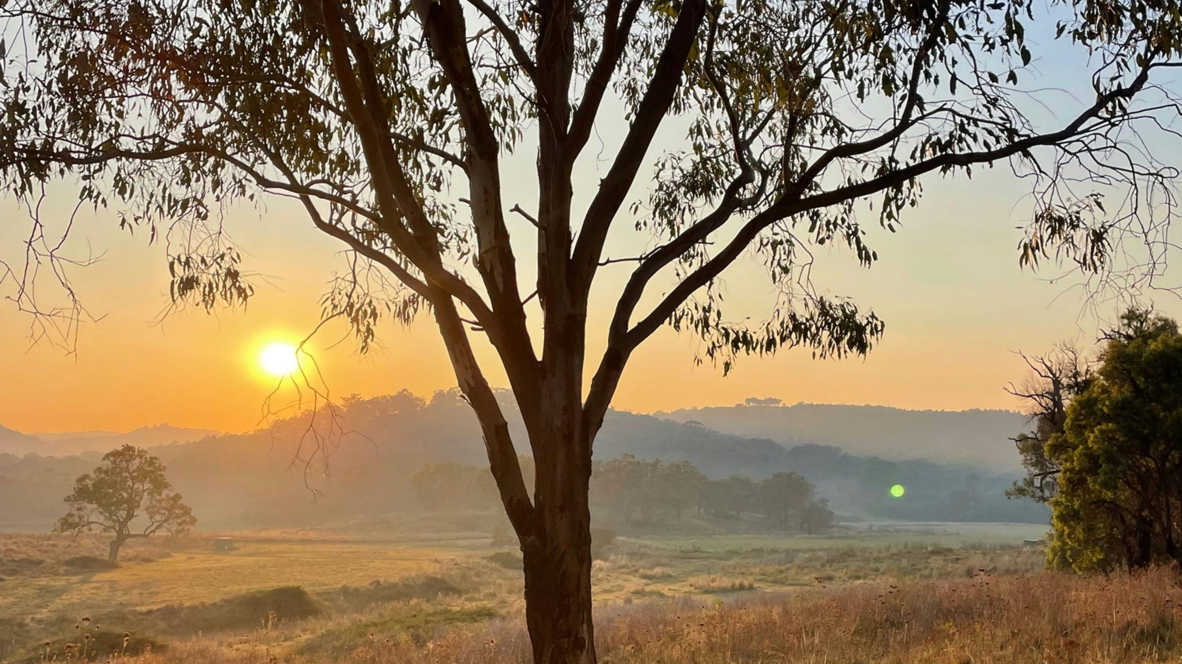 Old Bara aka "Baradise"