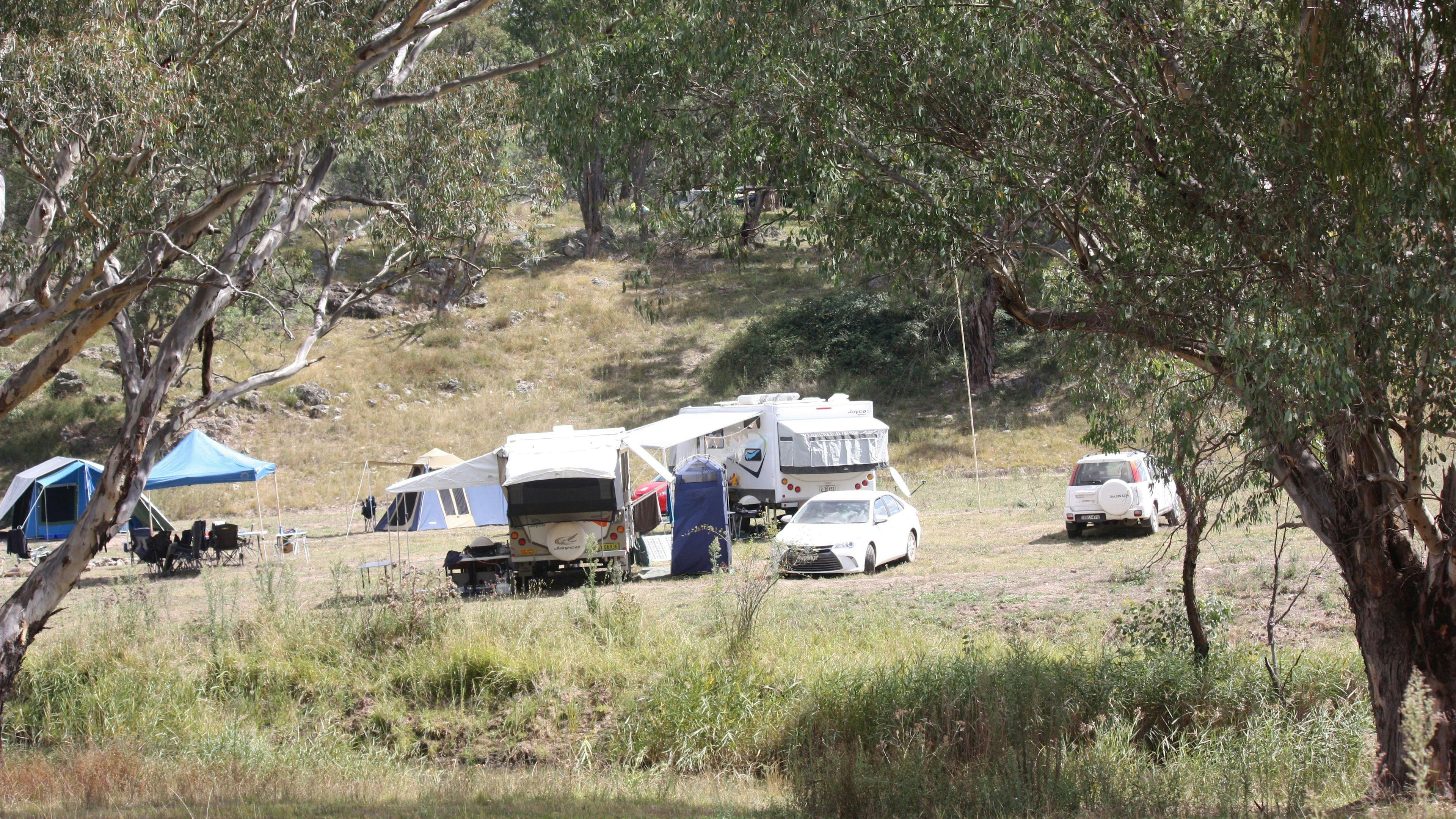 A new site, Turtle Flat