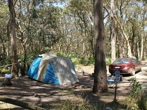 North Head campground