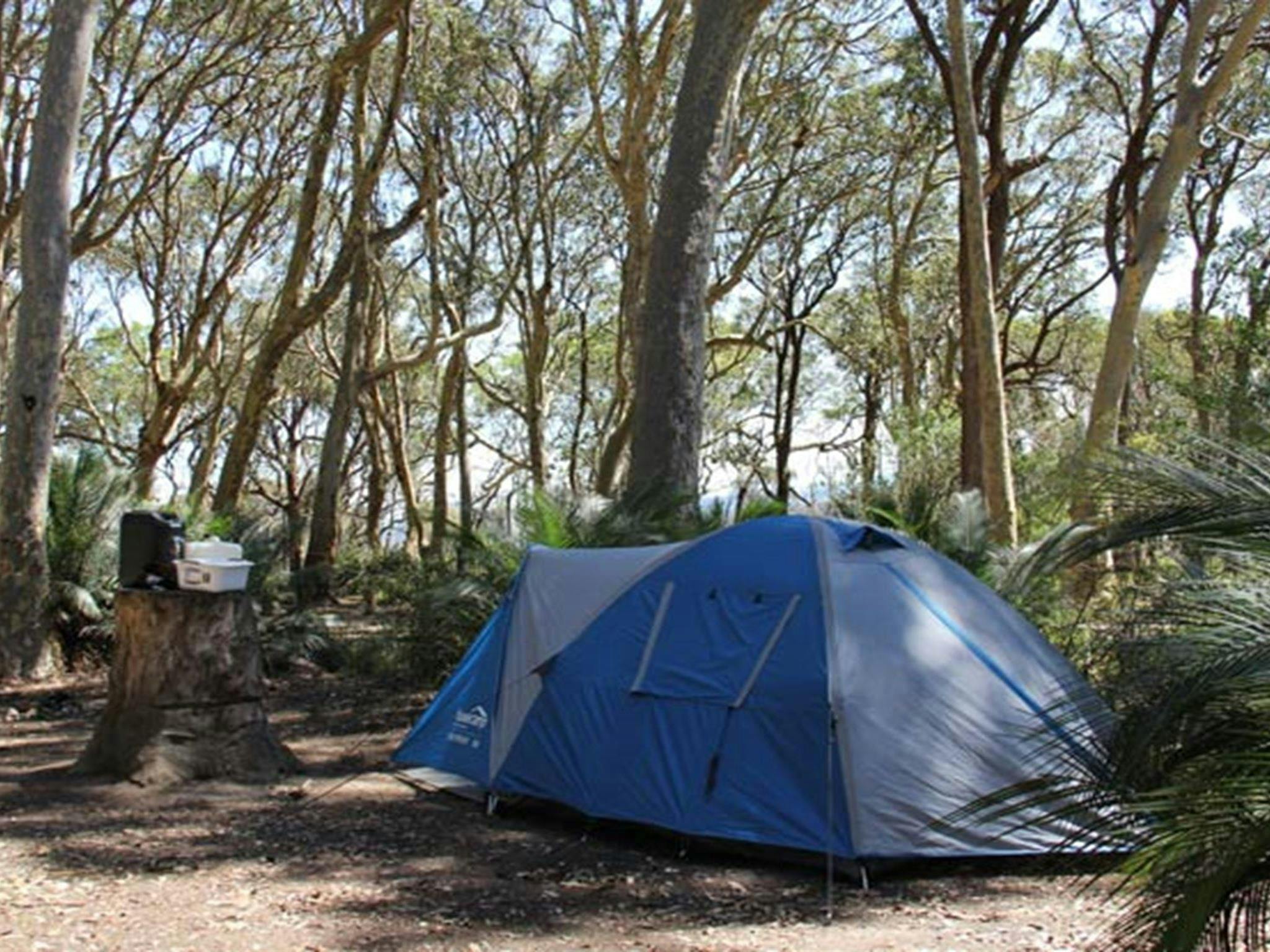 North Head Campground, Murramarang National Park. Photo: John Yurasek/NSW Government