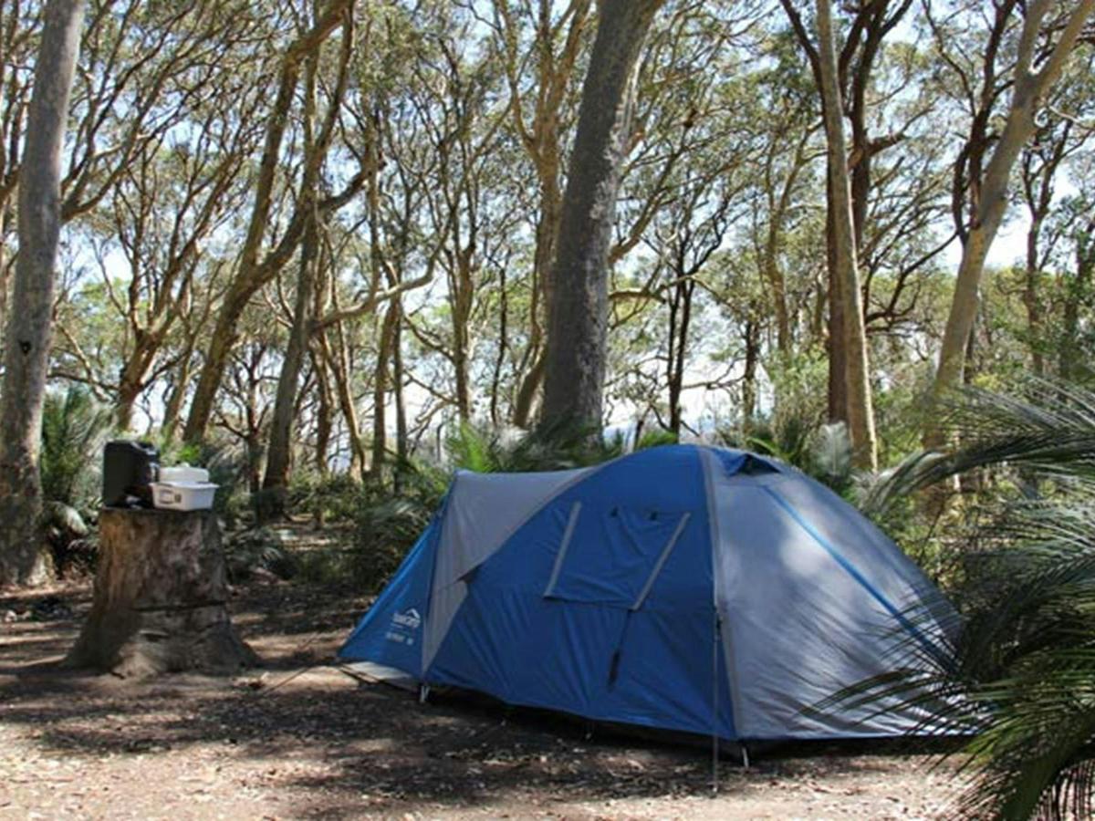 North Head Campground, Murramarang National Park. Photo: John Yurasek/NSW Government