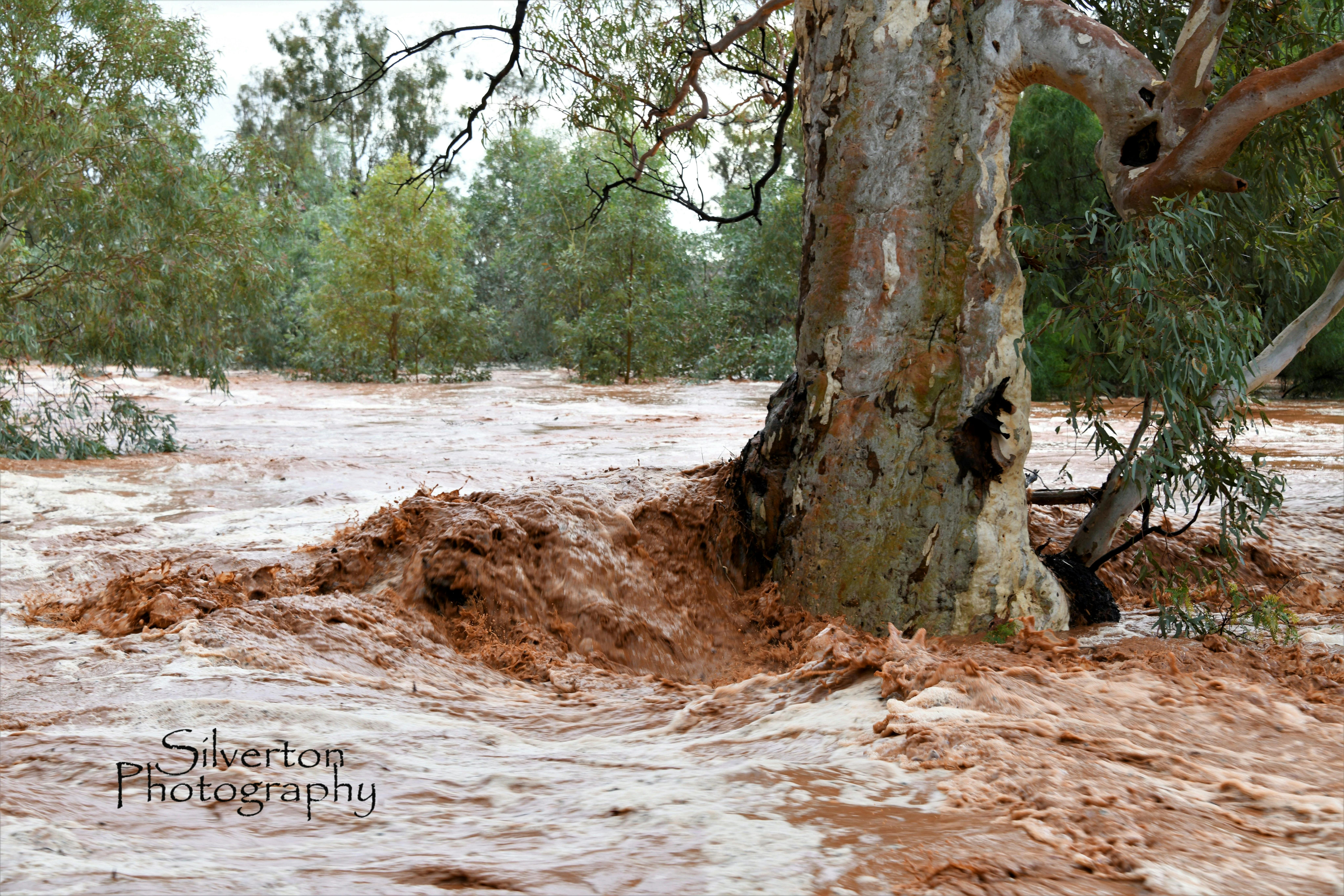 Creek Flowing