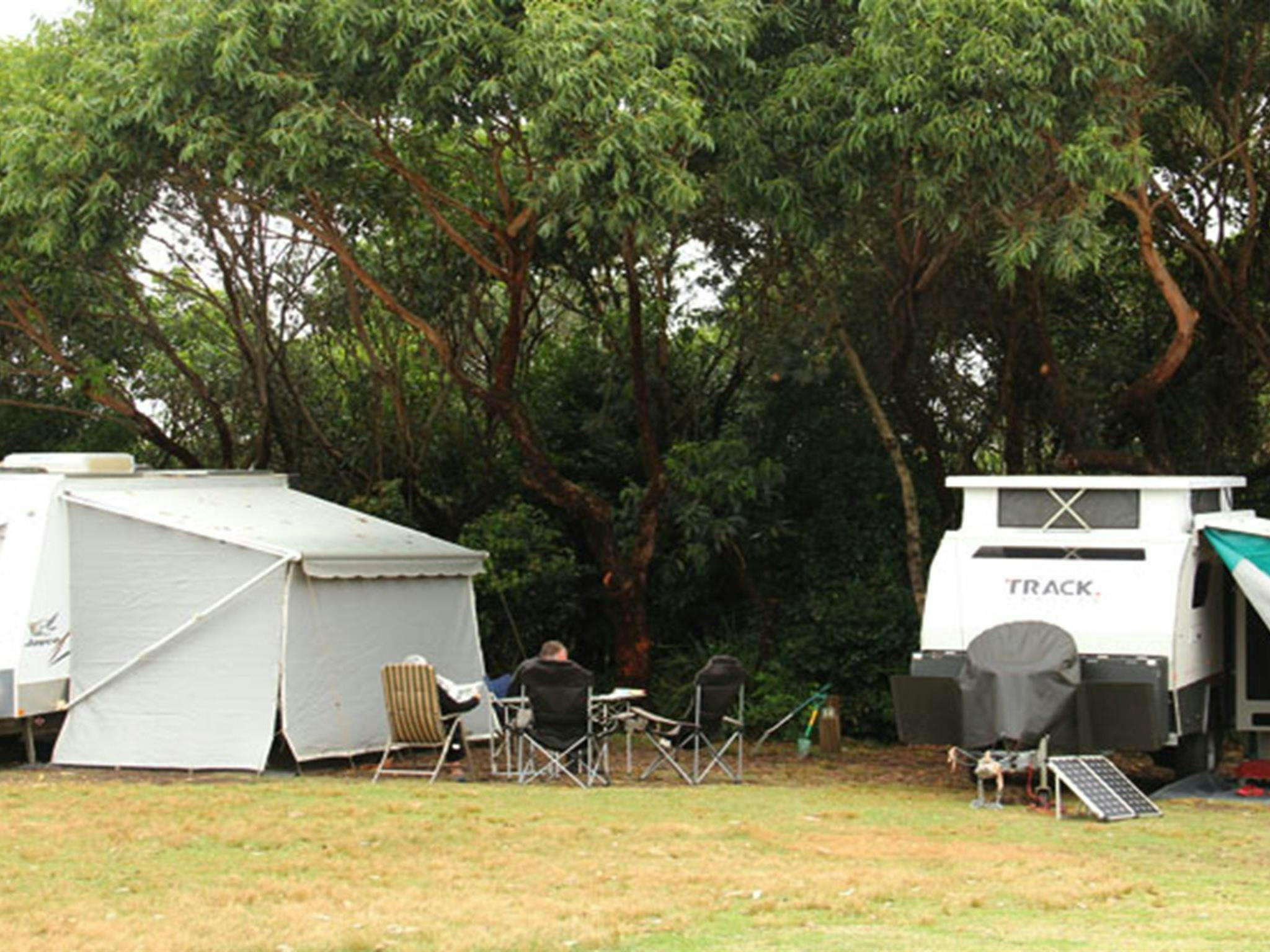 Caravans at Pretty Beach campground, Murramarang National Park. Photo: John Yurasek &copy; OEH