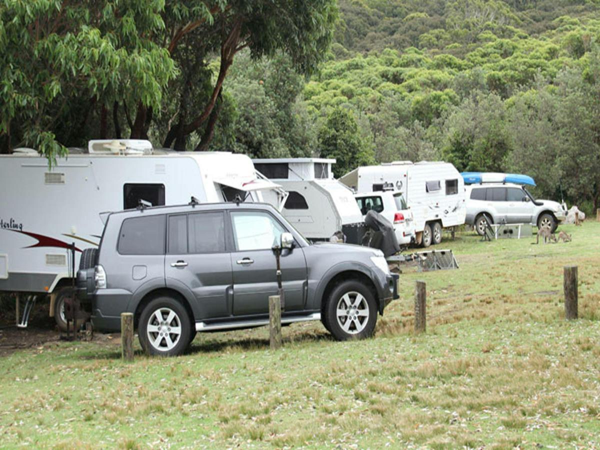 4WD and caravans in Pretty Beach campground, Murramarang National Park. Photo: John Yurasek &copy;