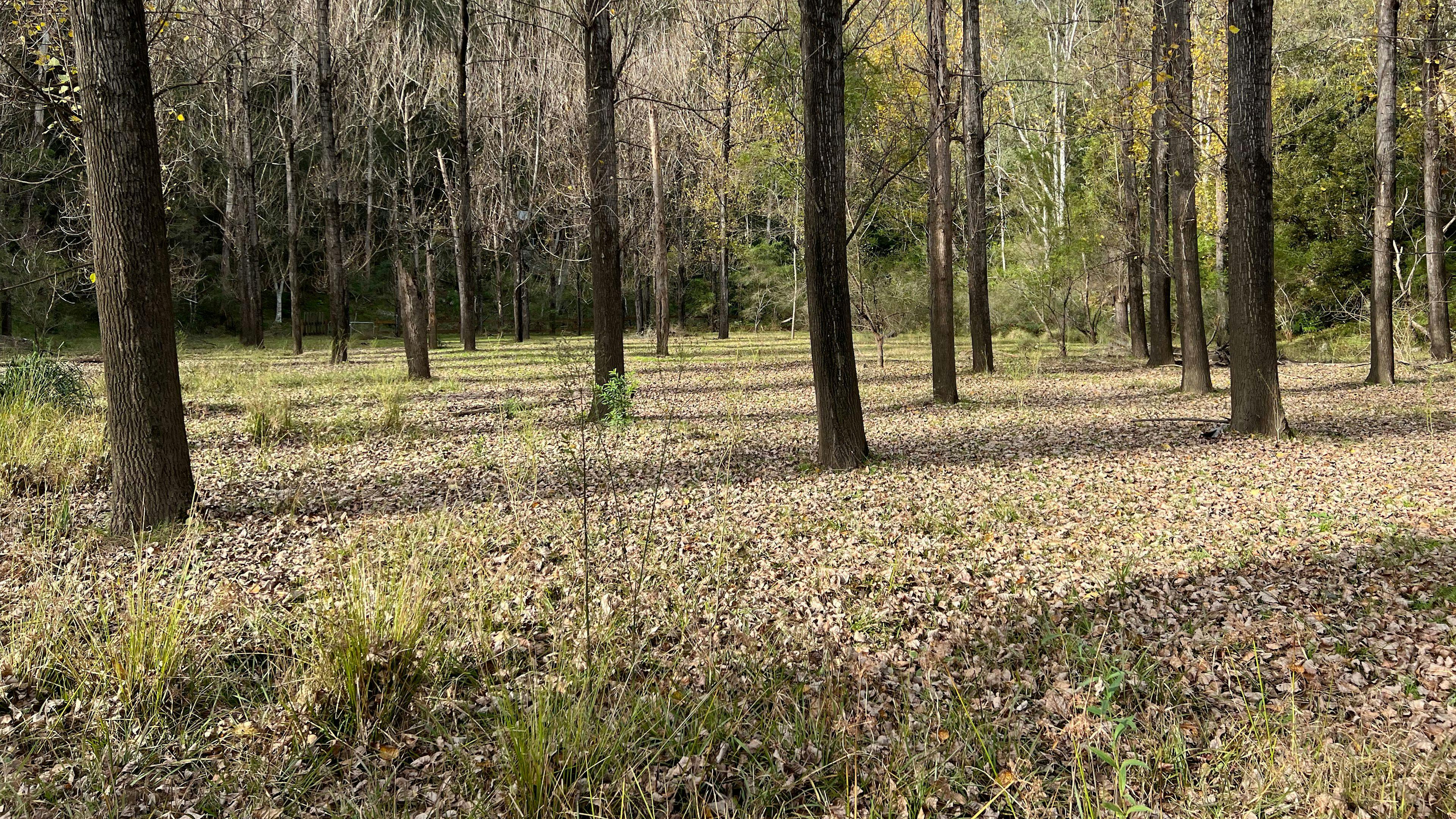 Poplars at Rosemont Estate