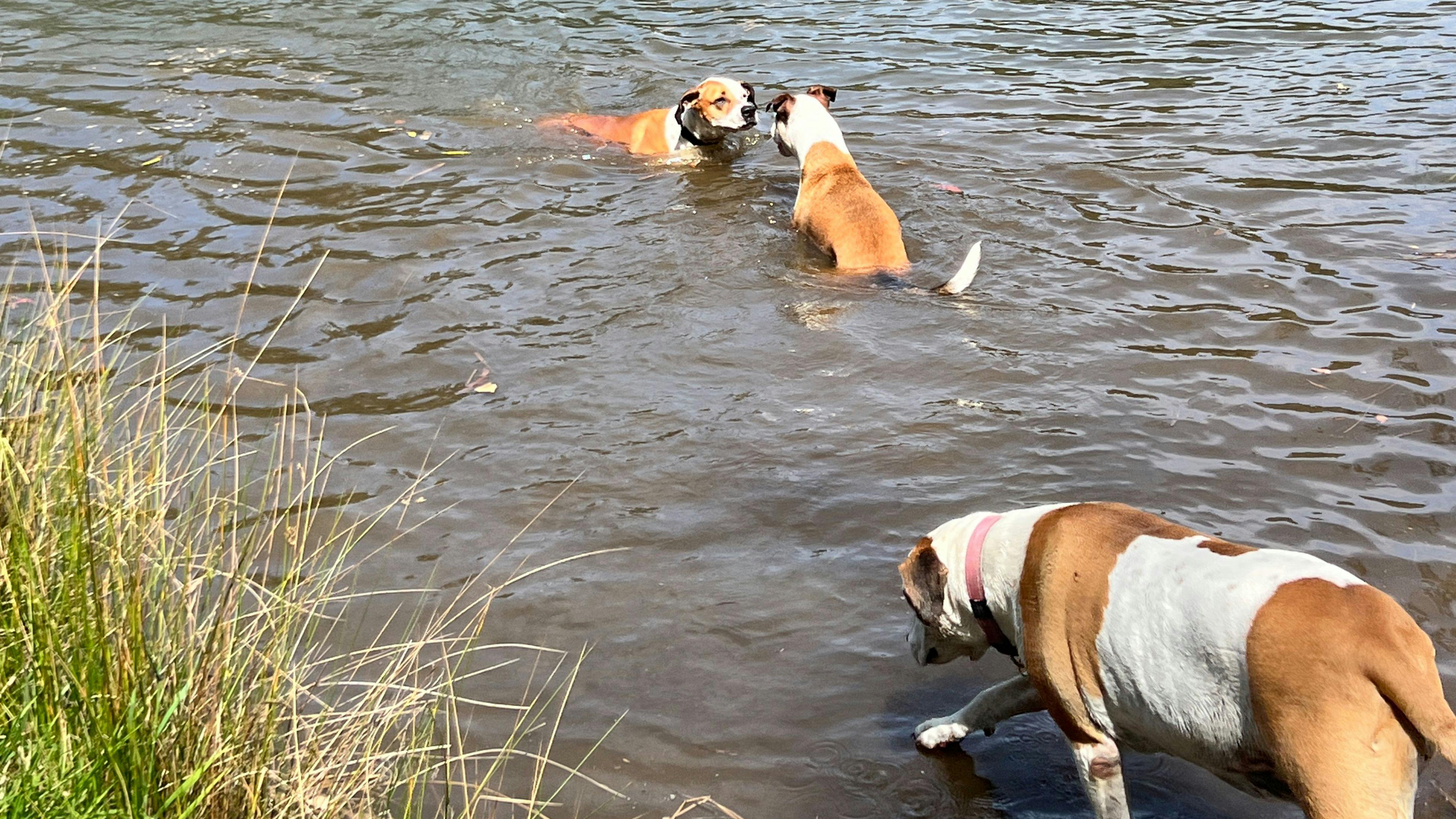 Poplars at Rosemont Estate