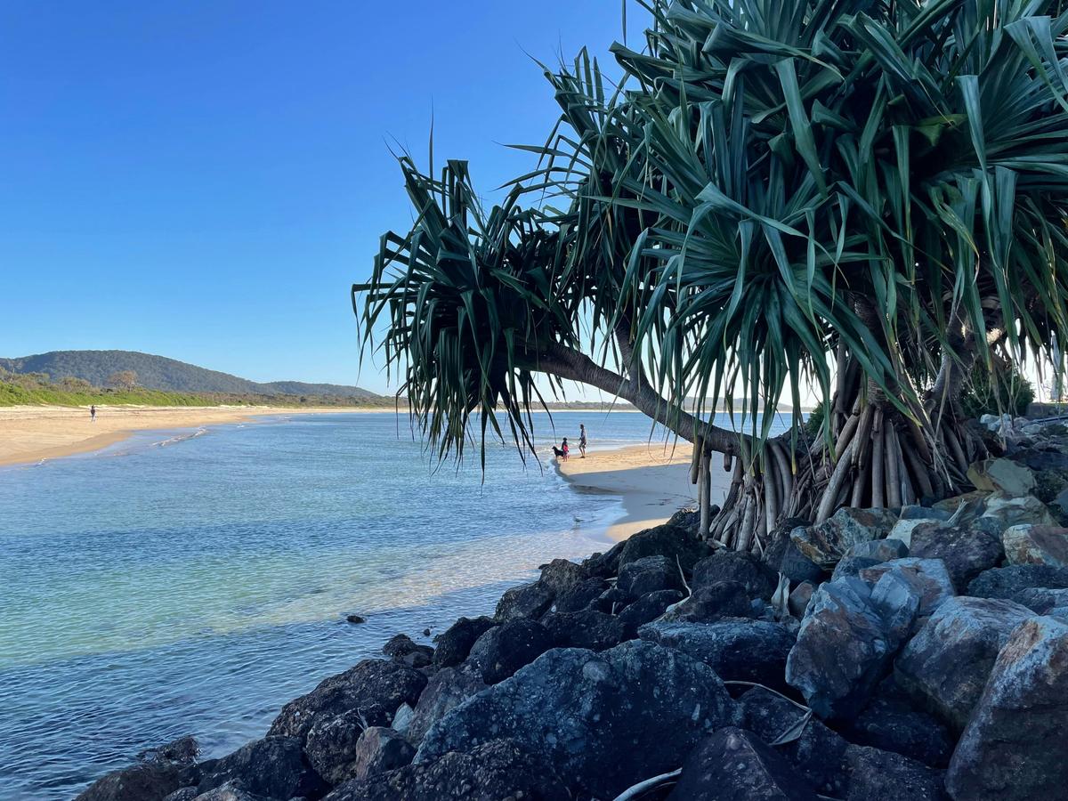 Killick Creek at Crescent Head Reserve
