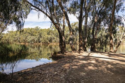 Nyngan Riverside Tourist Park