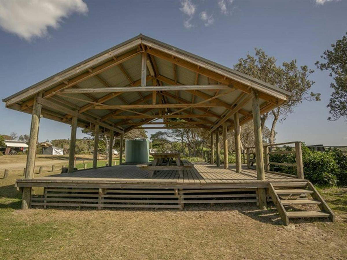 Picnic tables with large shelter at Point Plomer campground, Limeburners Creek National Park. Photo: