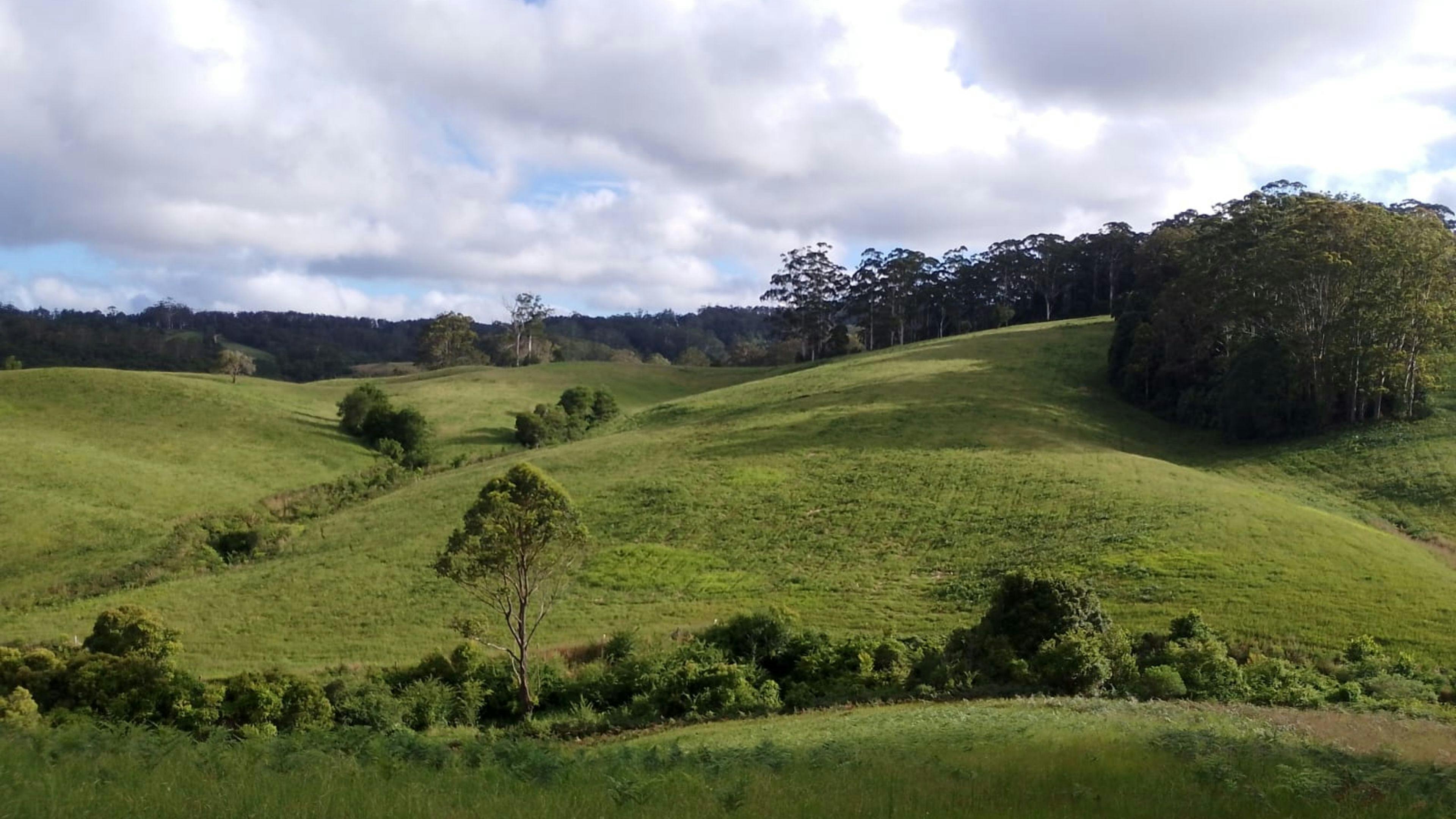 Looking across from our property to another 
