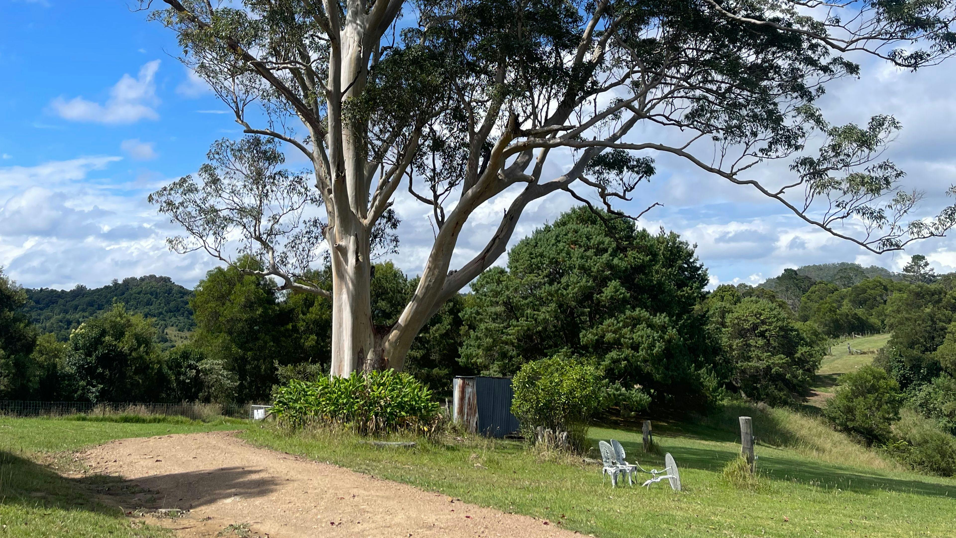 driveway to our house 