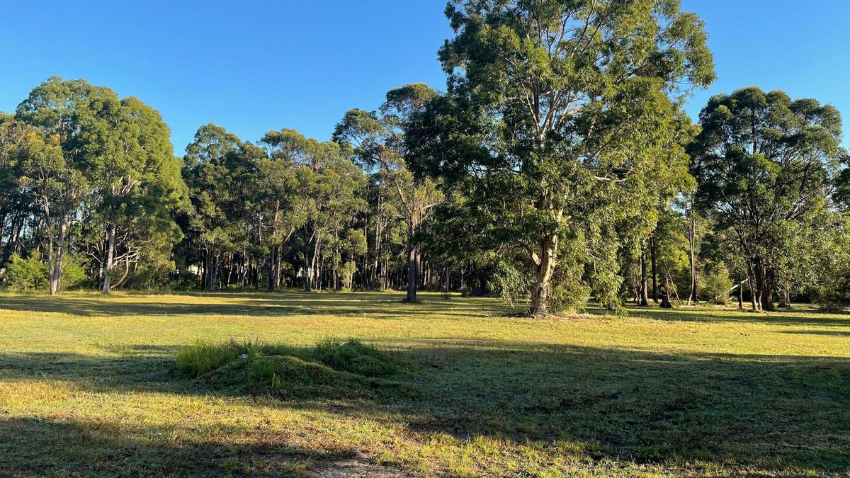 Peaceful Paddocks