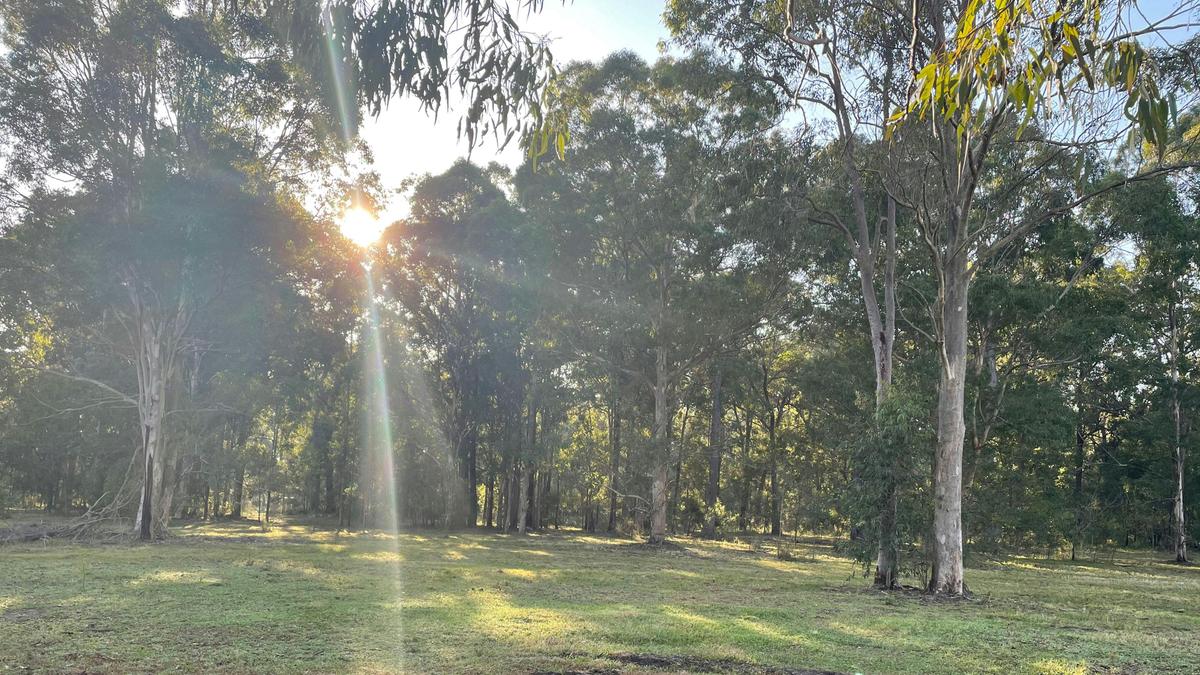Peaceful Paddocks