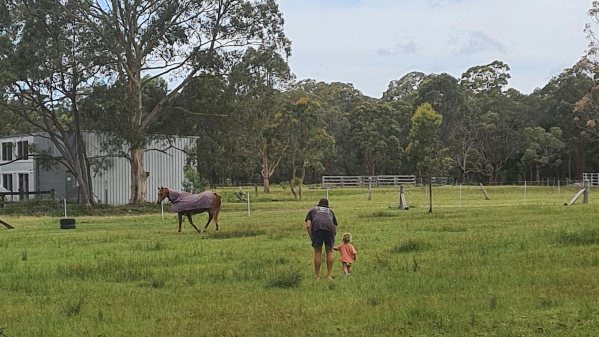 Peaceful Paddocks