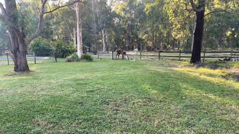Peaceful Paddocks