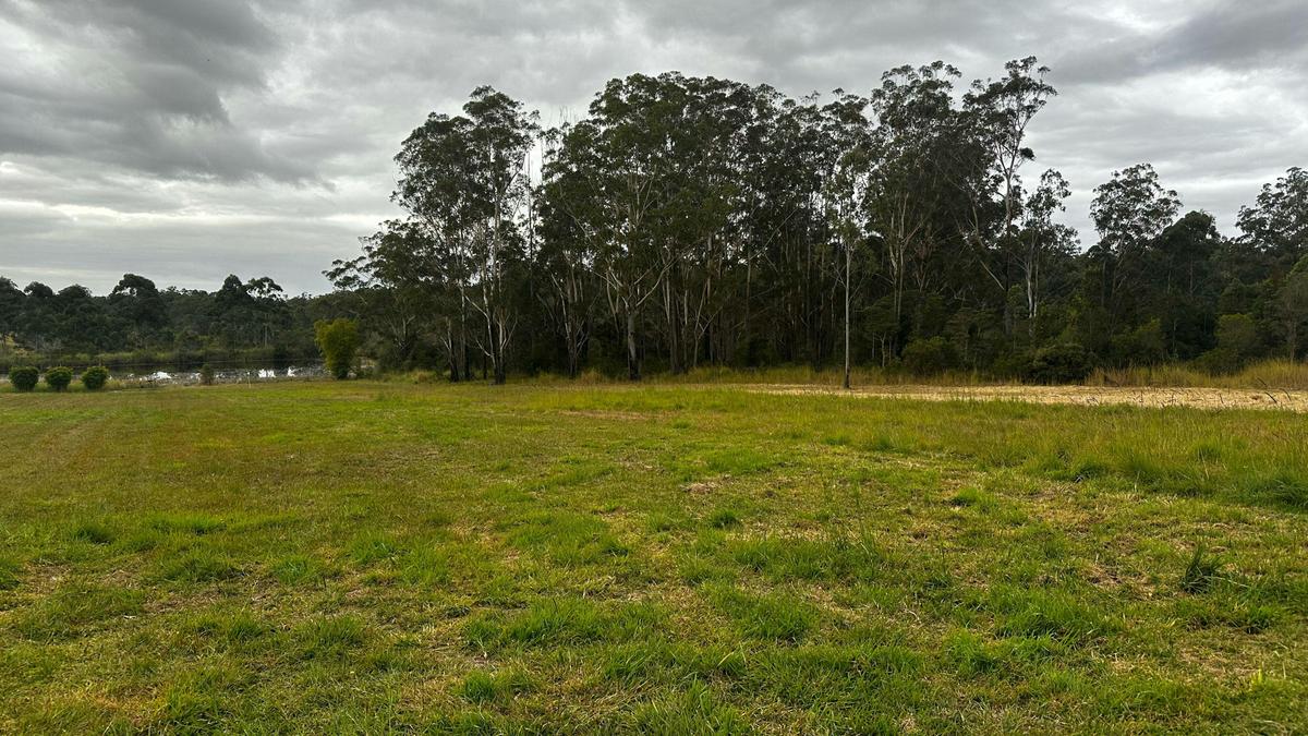 Paddock Camp