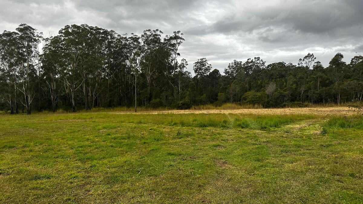 Paddock Camp