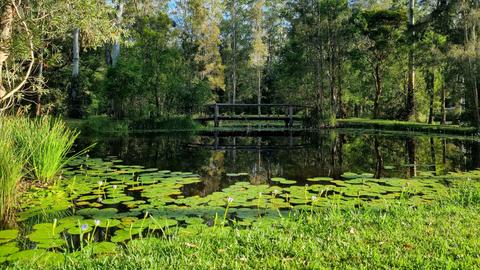Our Kindred Acres