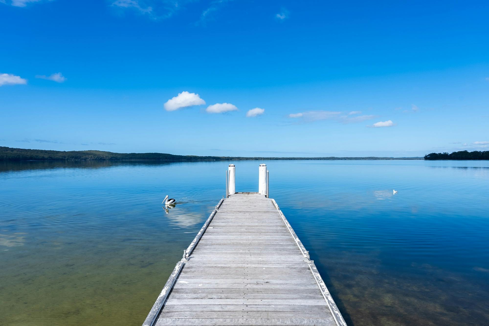 Pepe, Photographer Russell Quinn