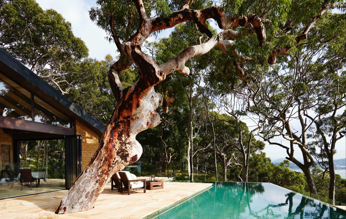Pretty Beach House
