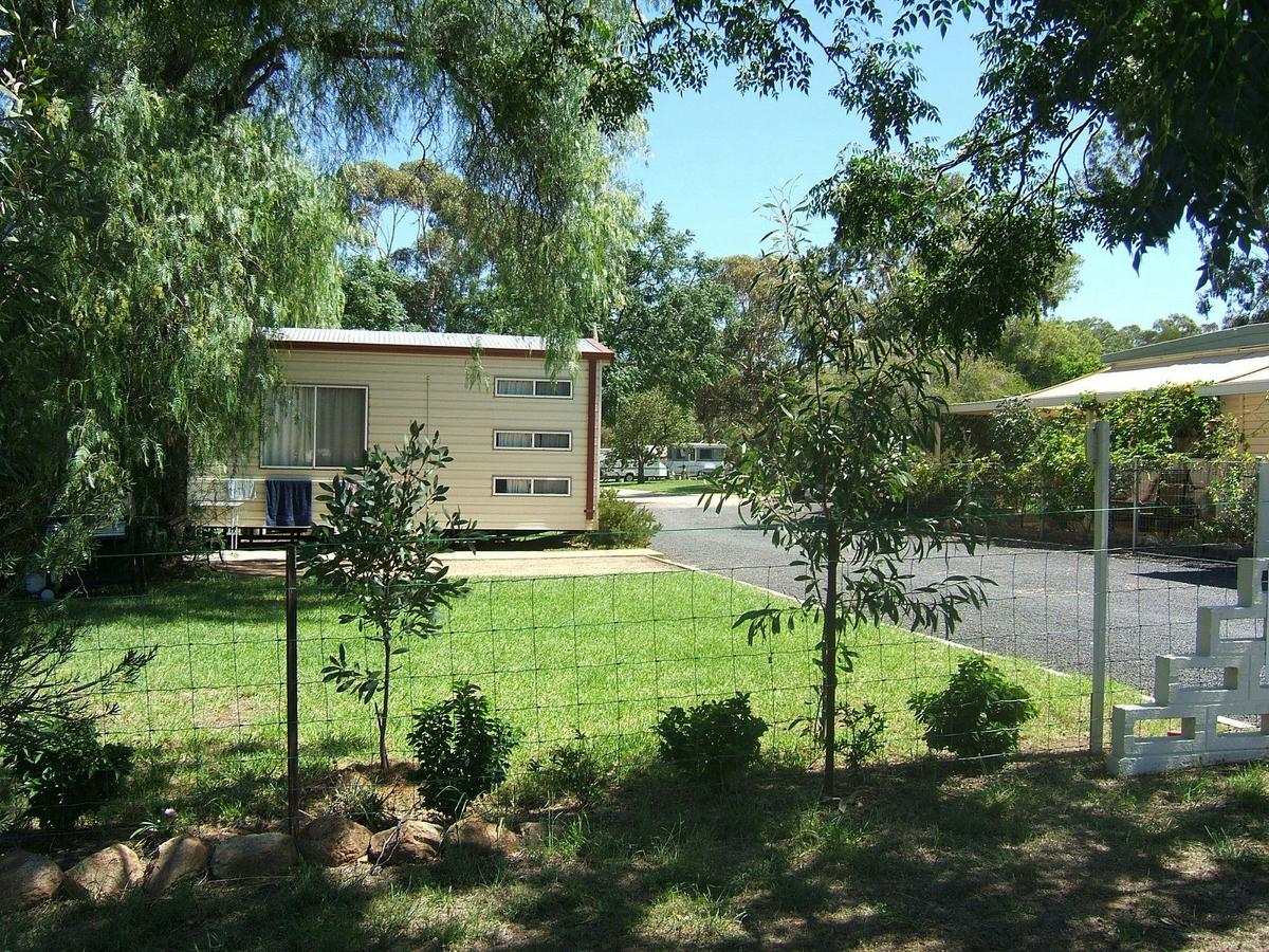 Bush setting