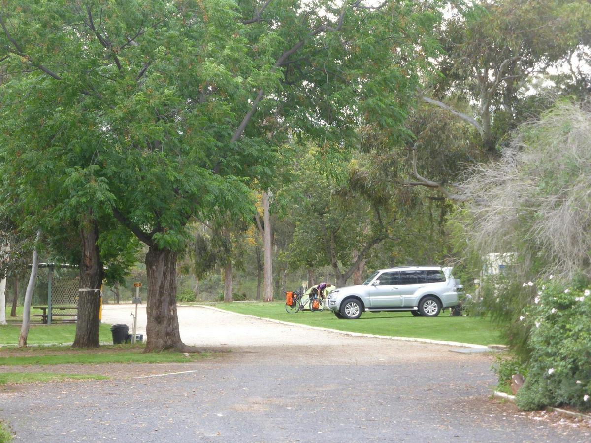 Shady Drive Through Sites