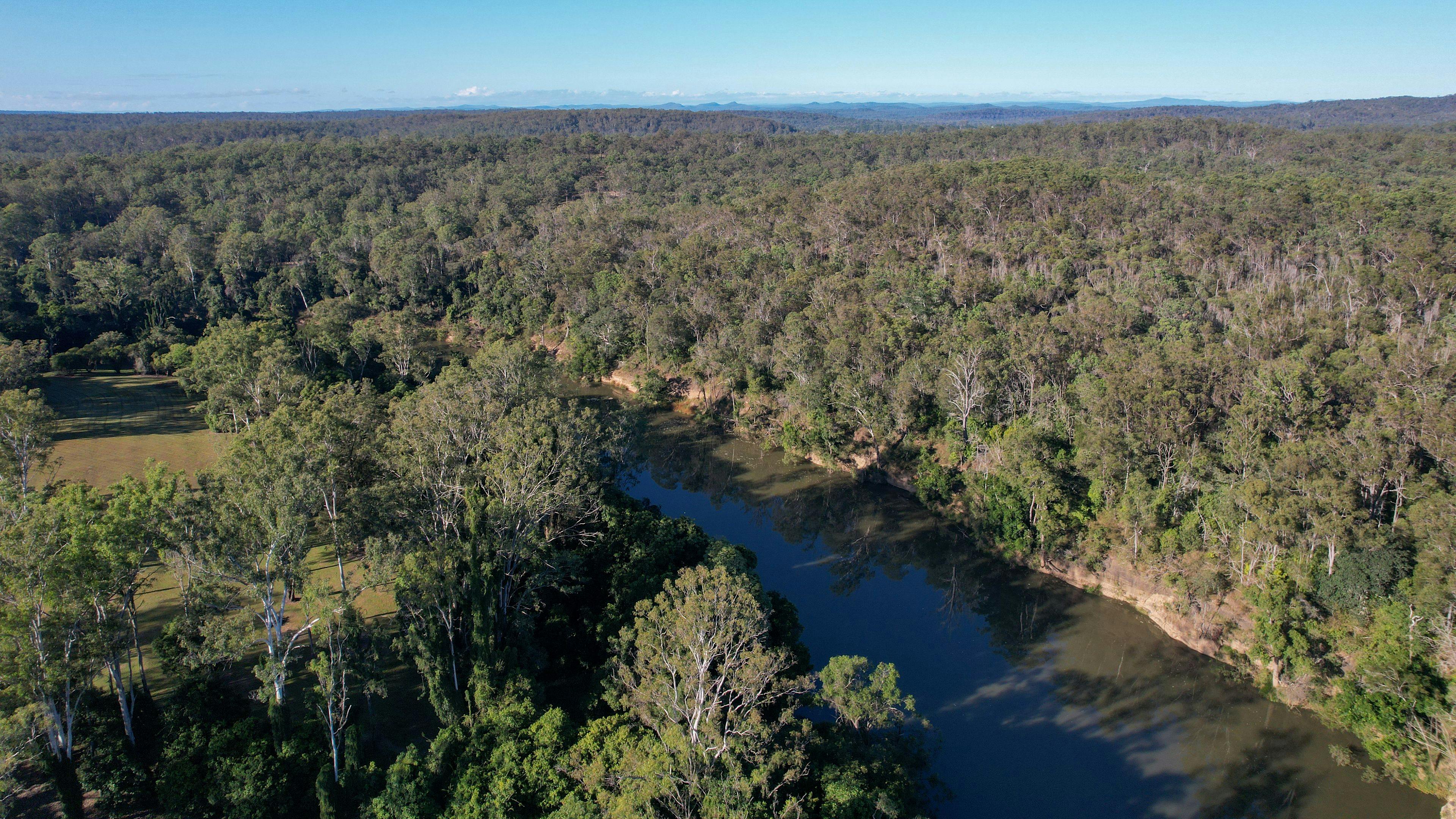 green grass is the camping area so close to the river!
