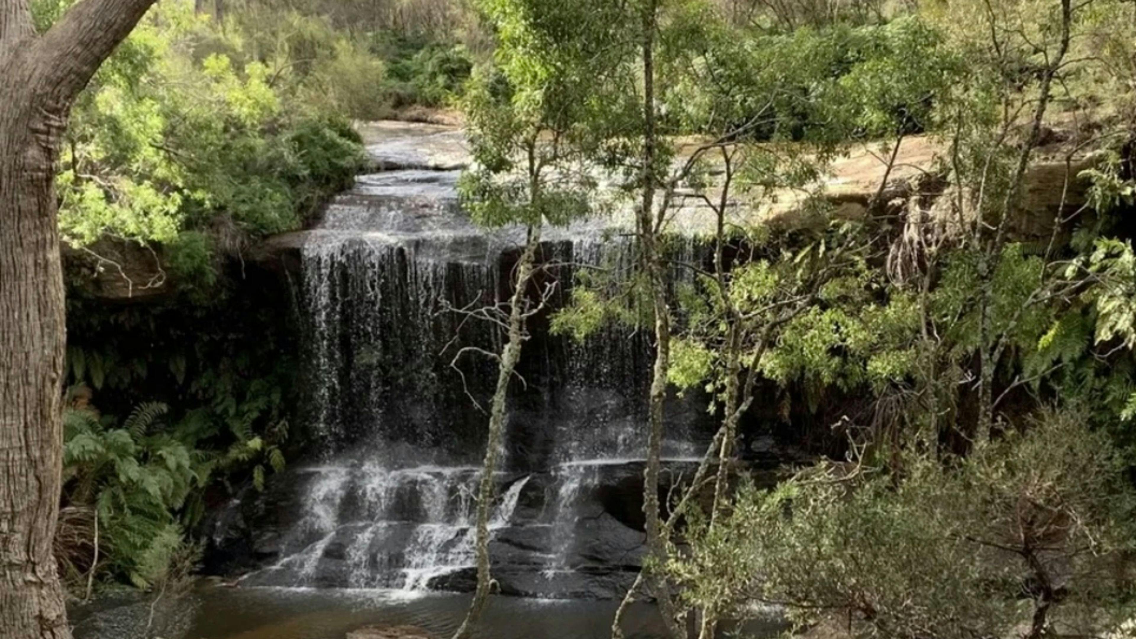 Old Forty Pumpkin Farm
