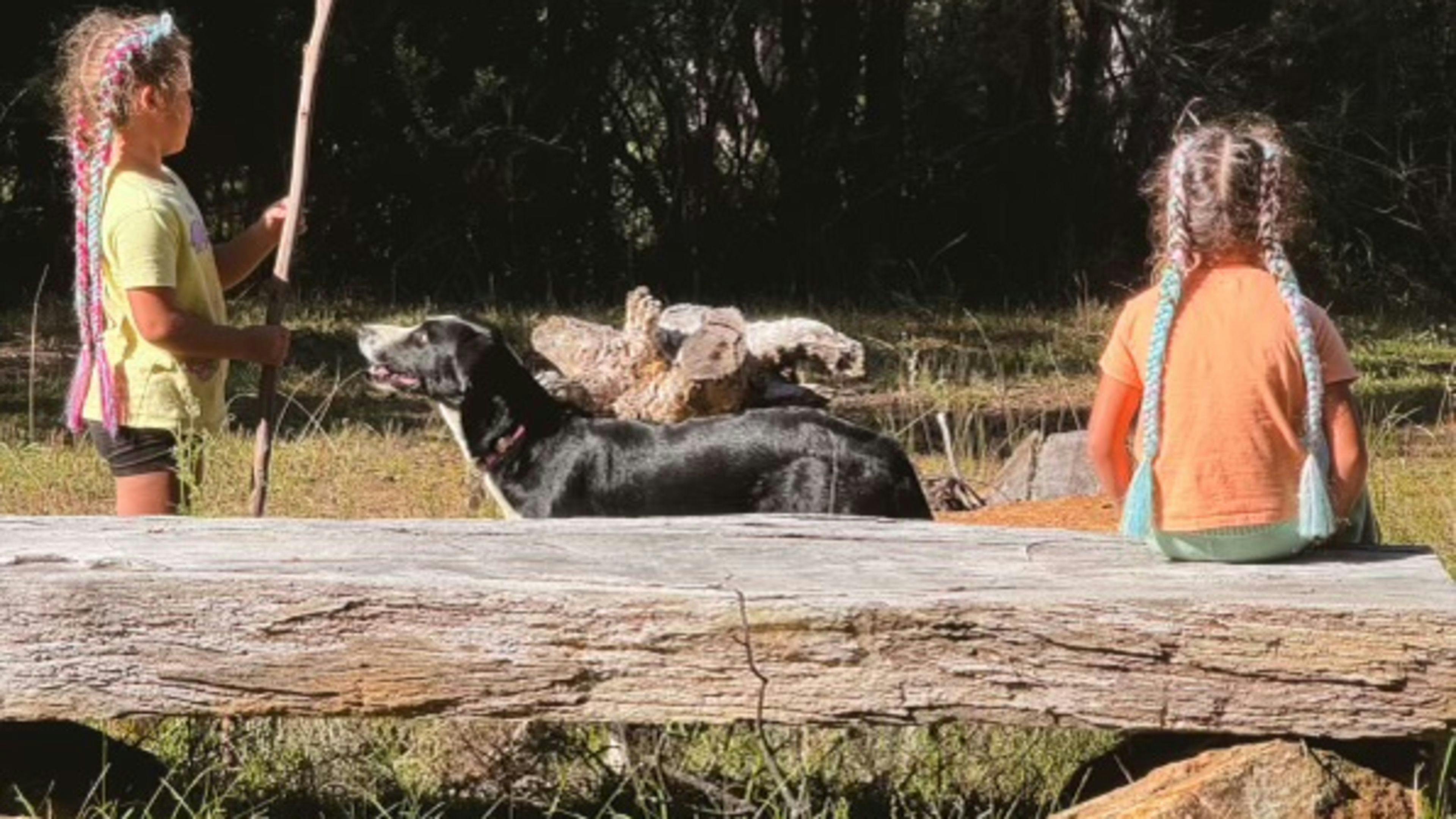 Old Forty Pumpkin Farm