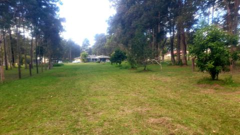 Paradise in Verges Creek