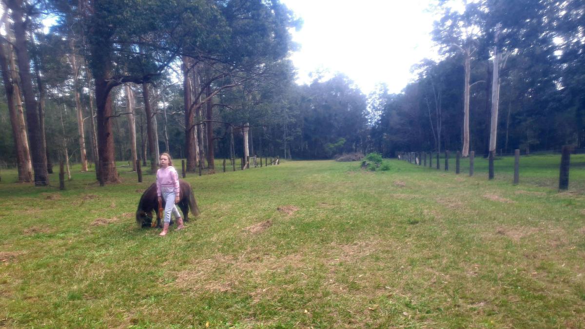 Paradise in Verges Creek