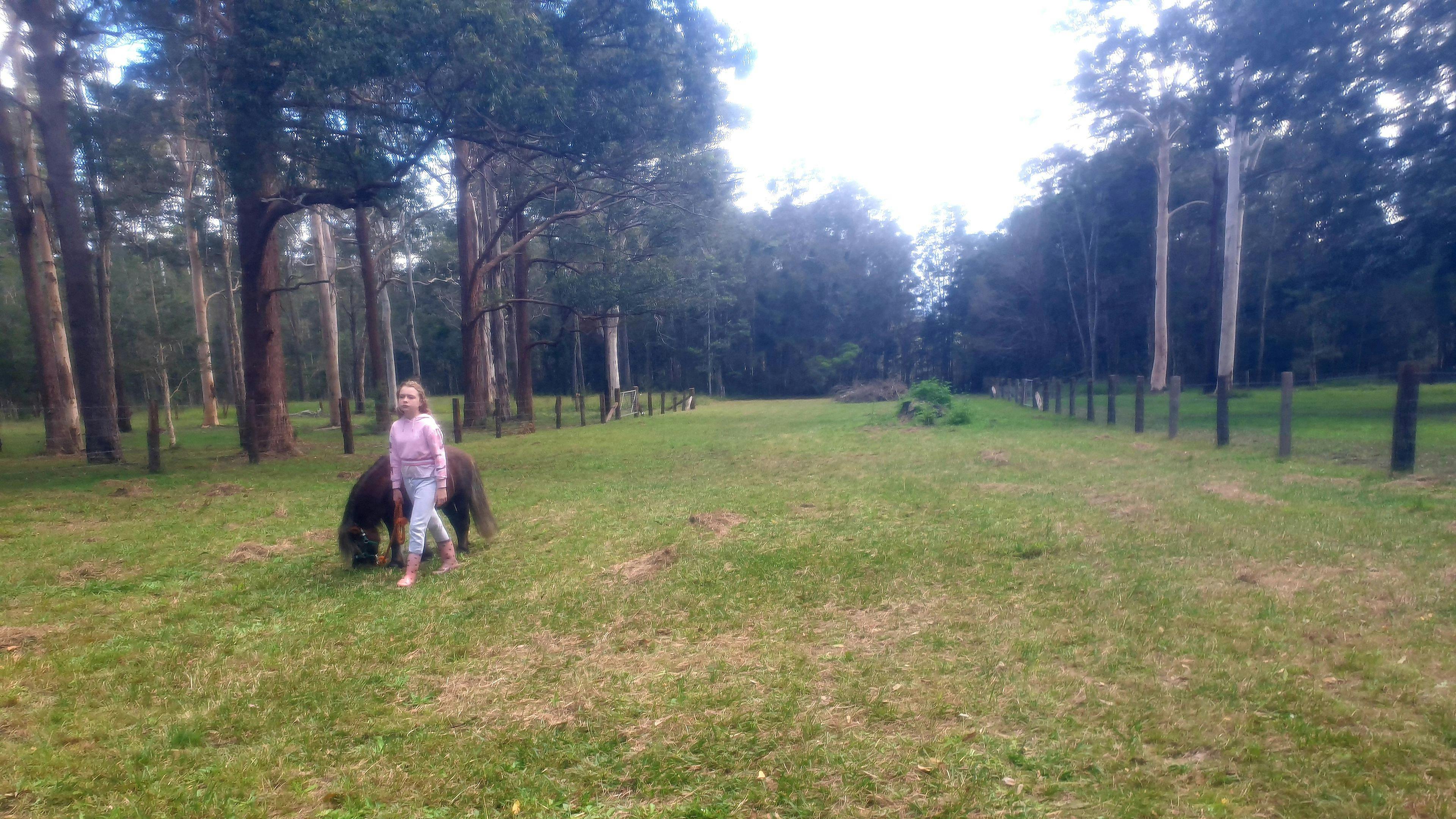 Paradise in Verges Creek