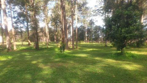 Paradise in Verges Creek