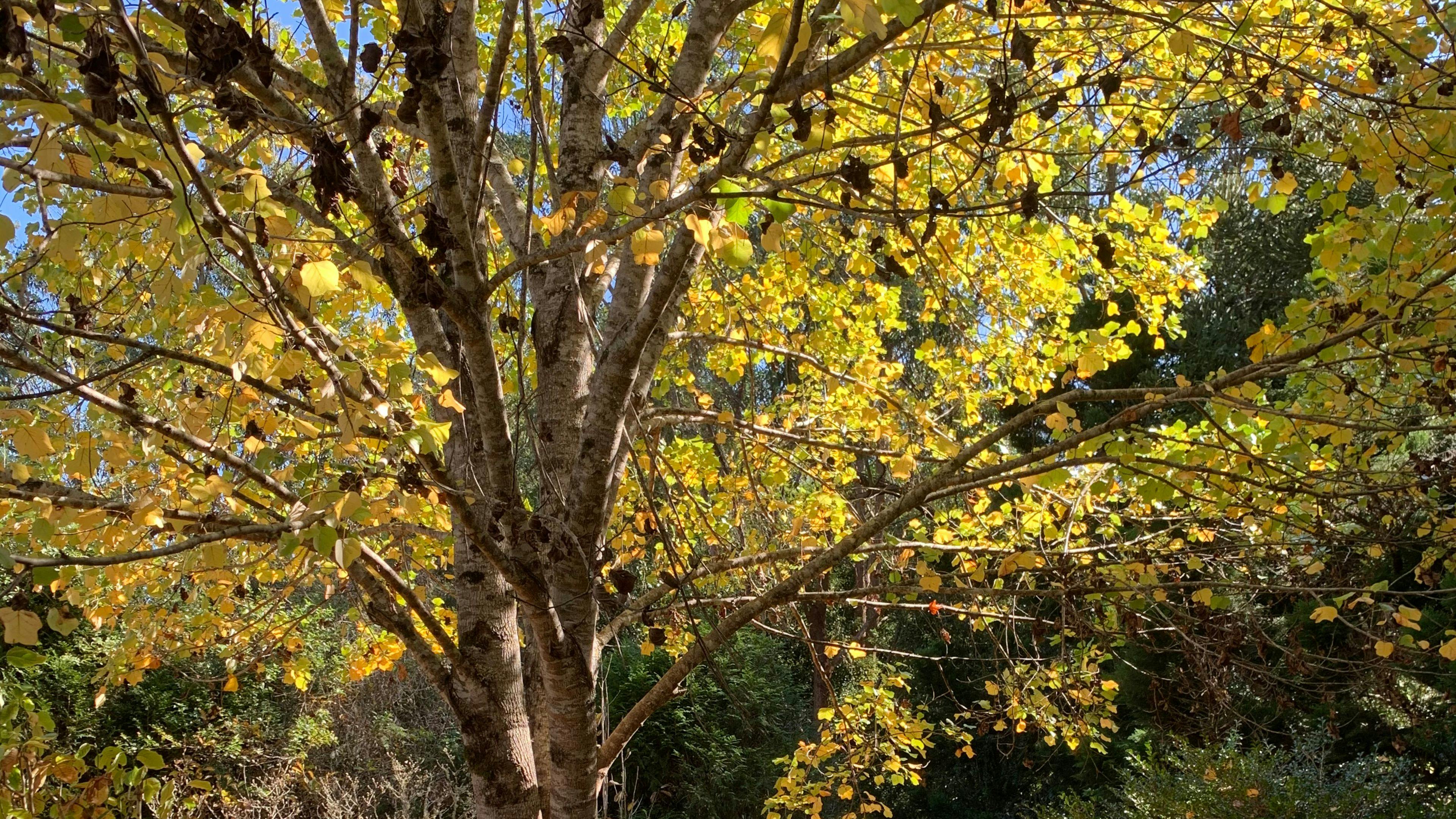 Parkers Place Gardens