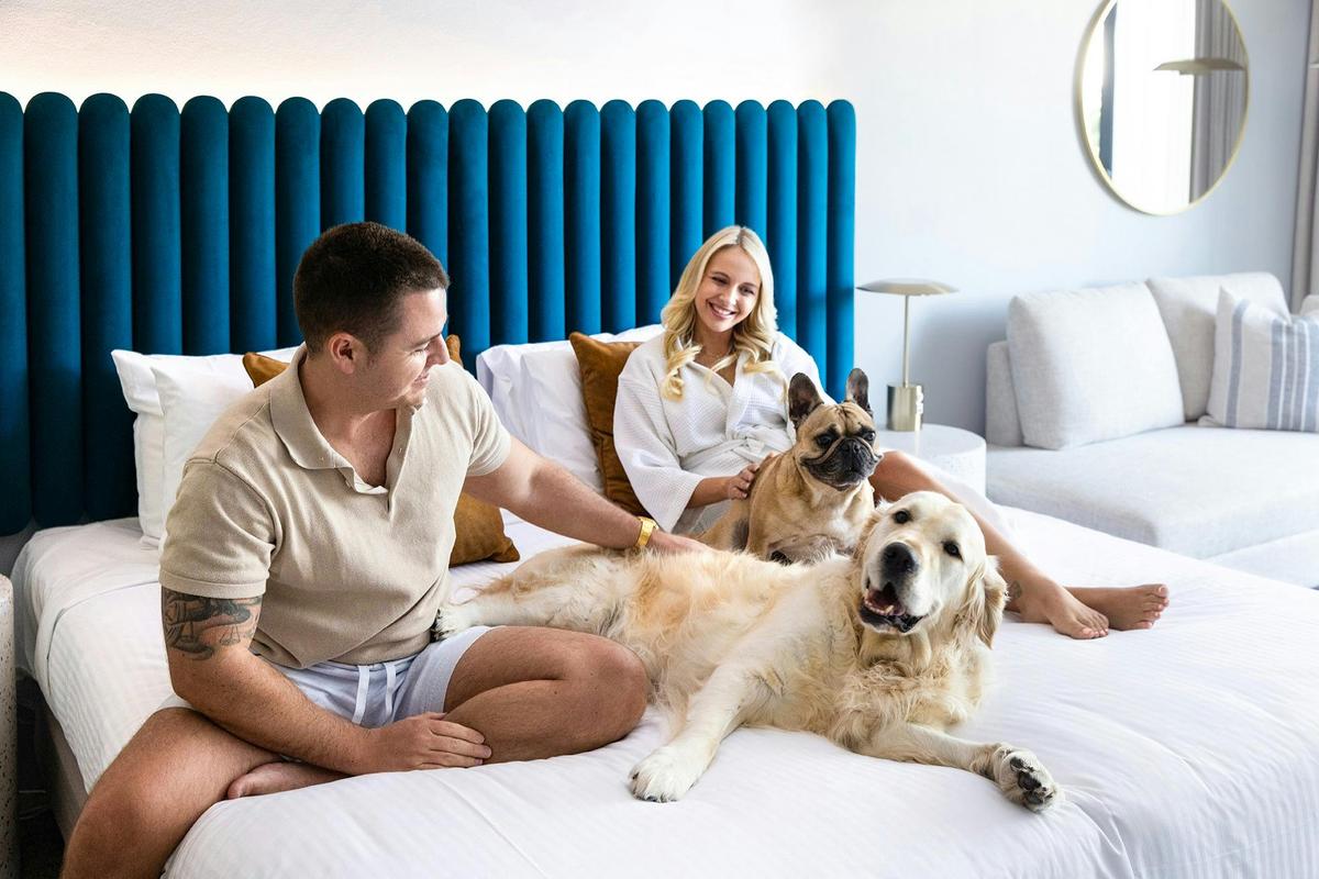 Pet Friendly Rooms