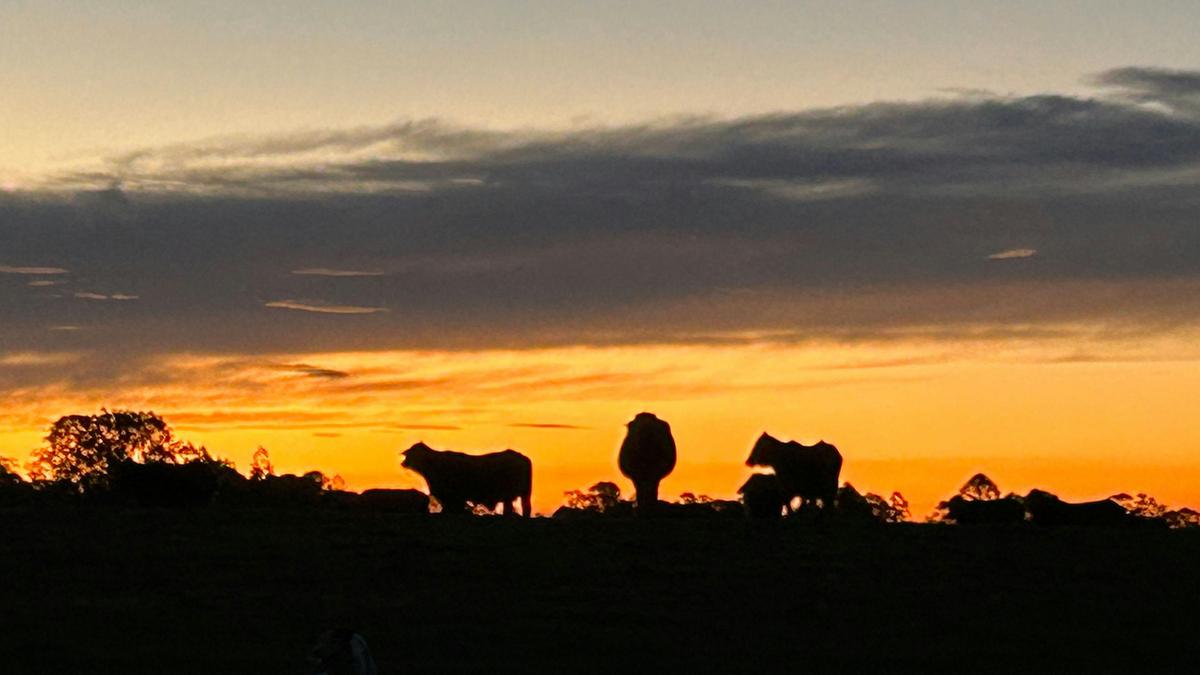 Riverstone Farm