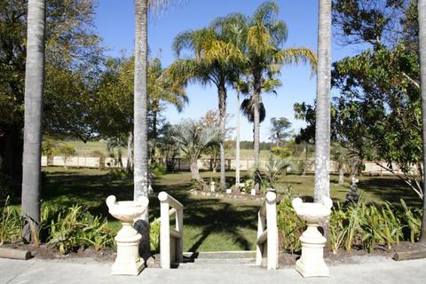 Palms Oasis Motel