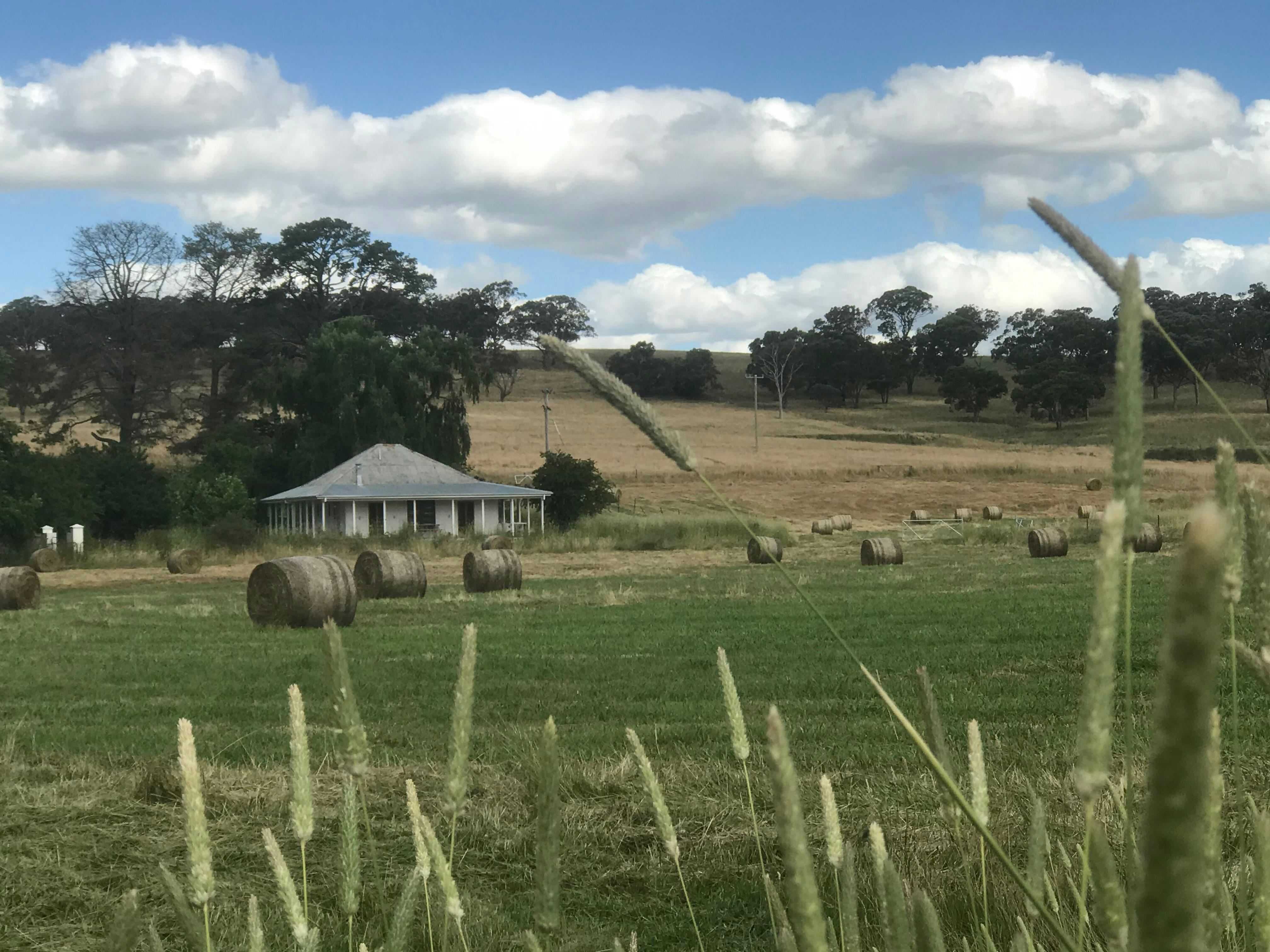 Extensive rural views