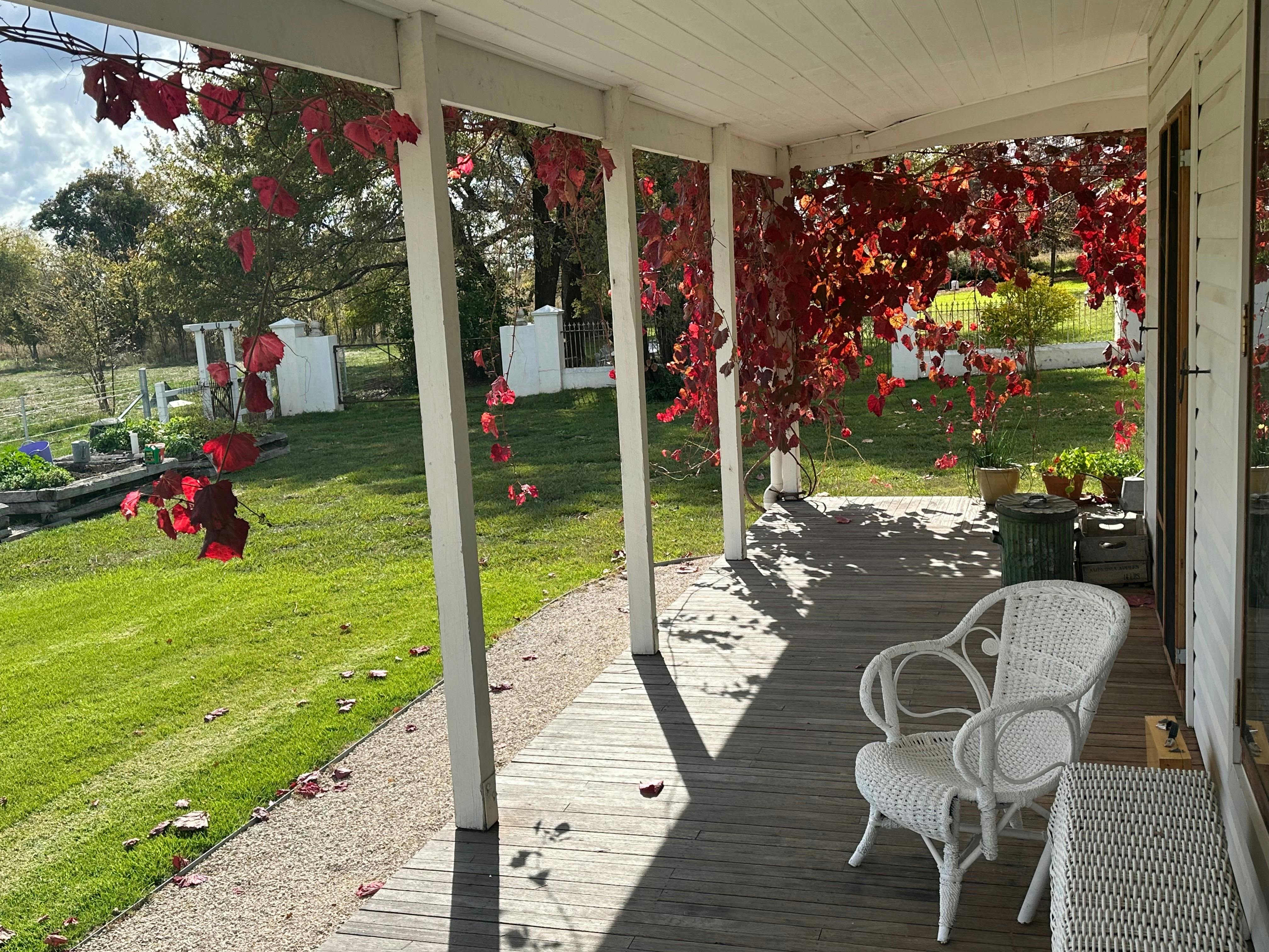 Willow House west verandah autumn