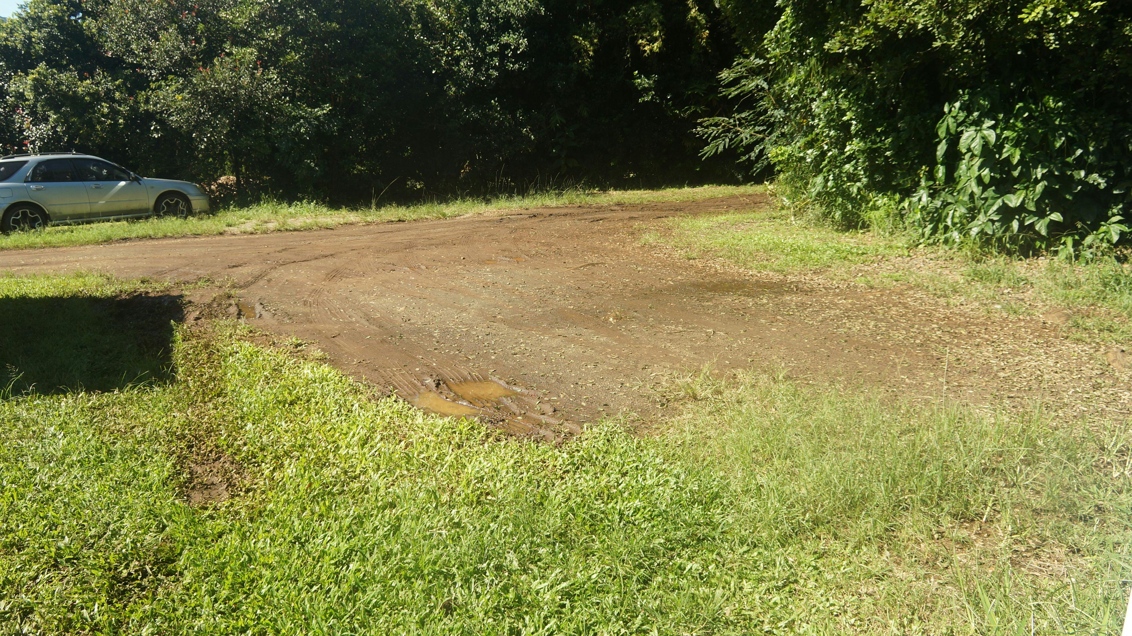 Quiet, semi social atmosphere.