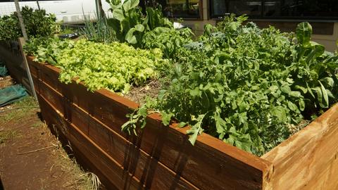 Quiet, semi social atmosphere.