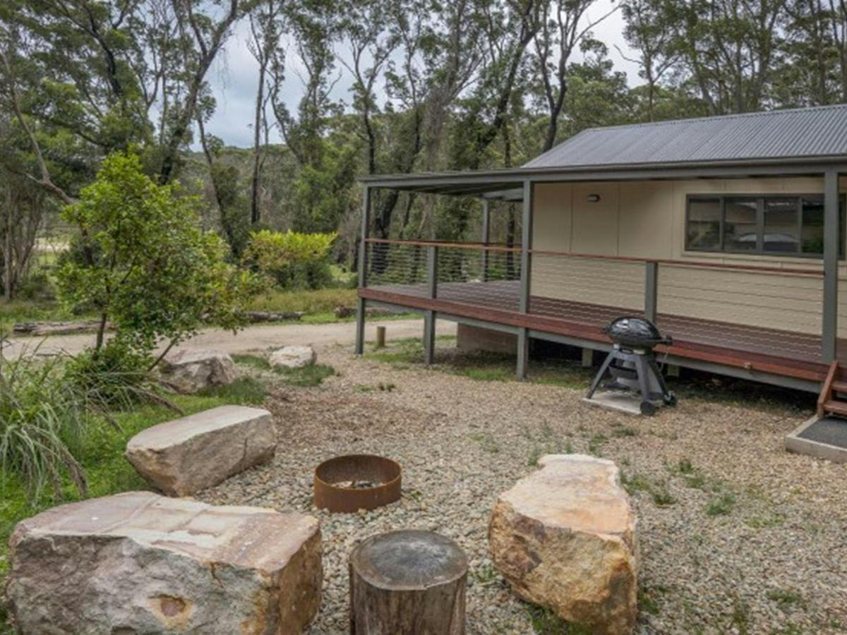 The exterior of Pebbly Beach shacks surrounded by coastal rainforest, with stone seats and fire pit.