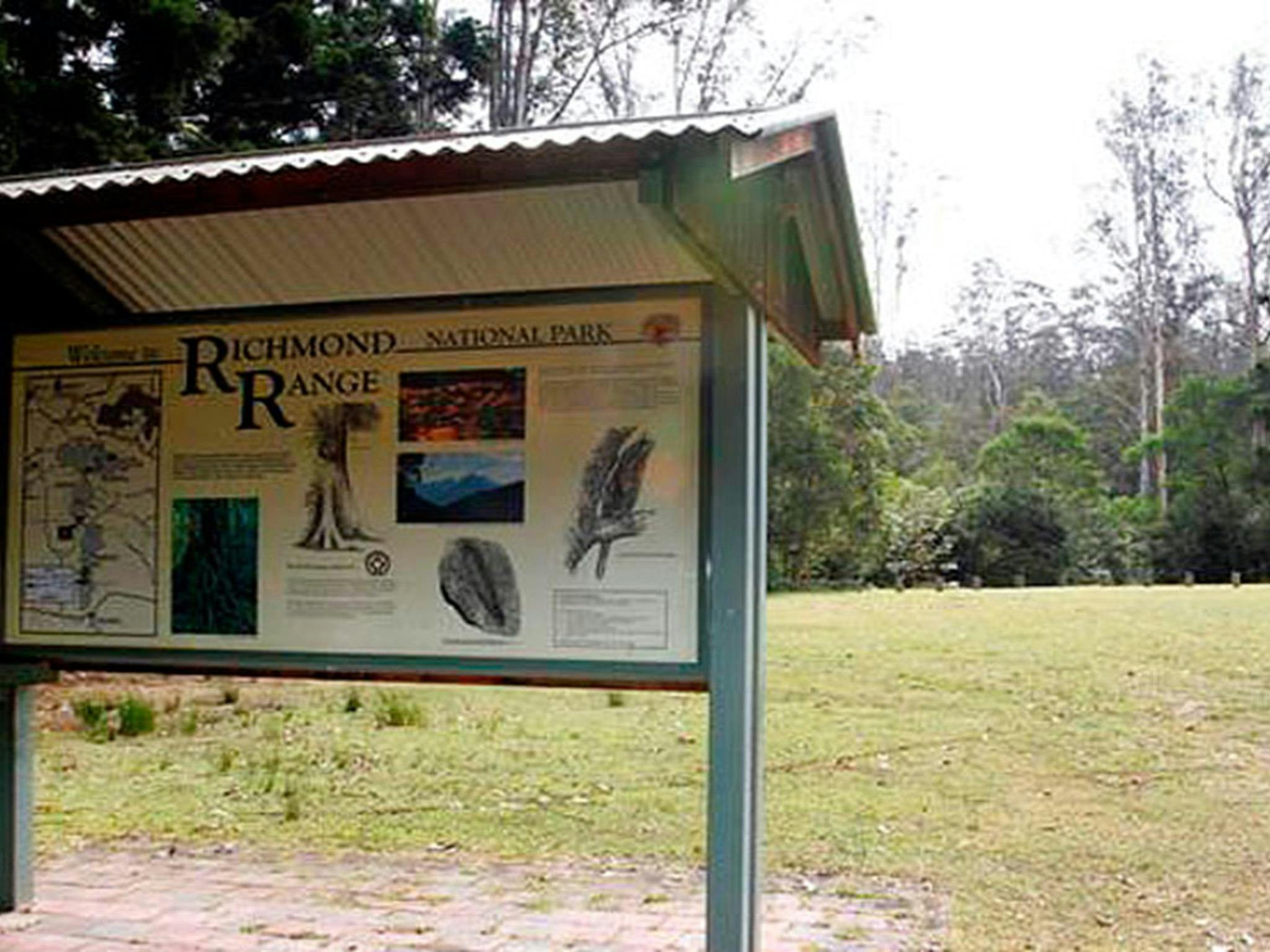 Peacock Creek Campground, Richmond Range National Park. Photo: J Atkins/NSW Government