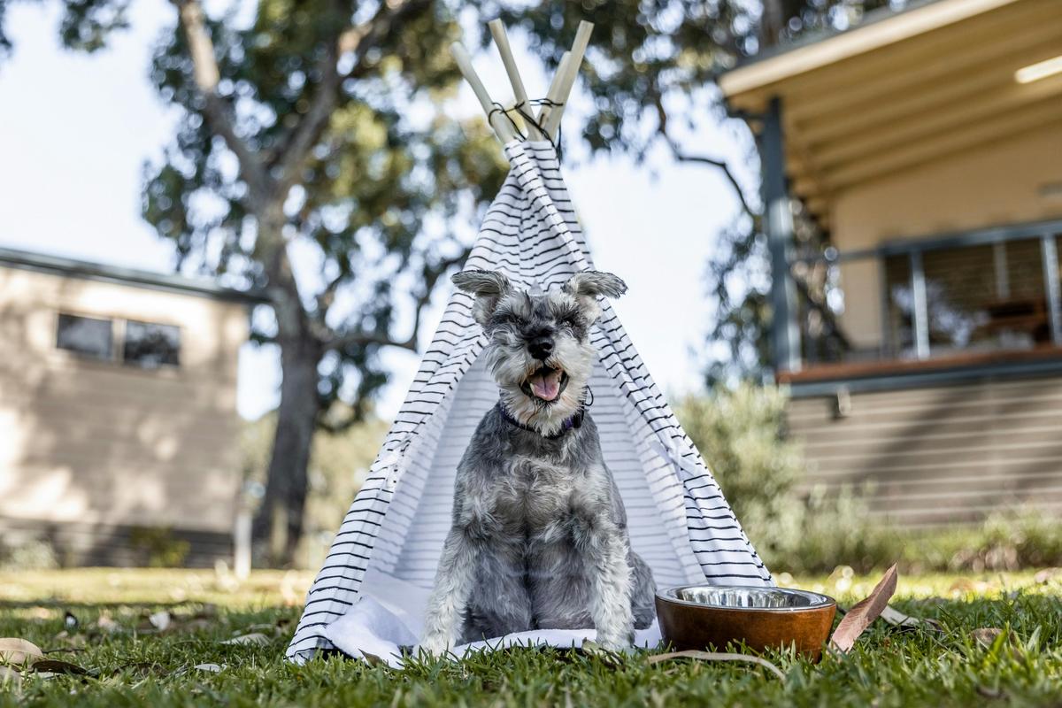 You dog gets to holiday at Urunga too through shoulder and off-peak periods.
