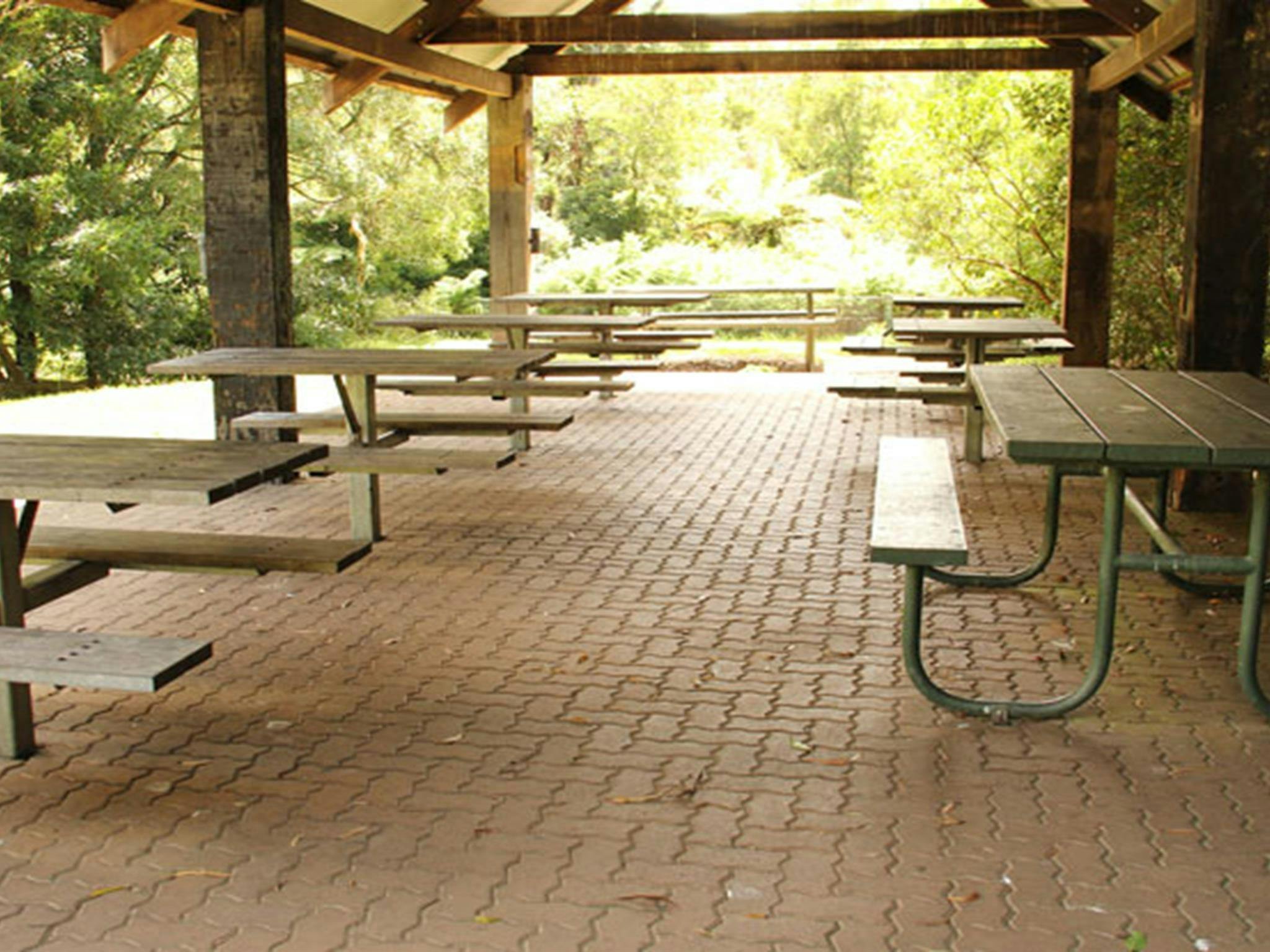 Fitzroy Falls picnic area, Morton National Park. Photo: John Yurasek/NSW Government