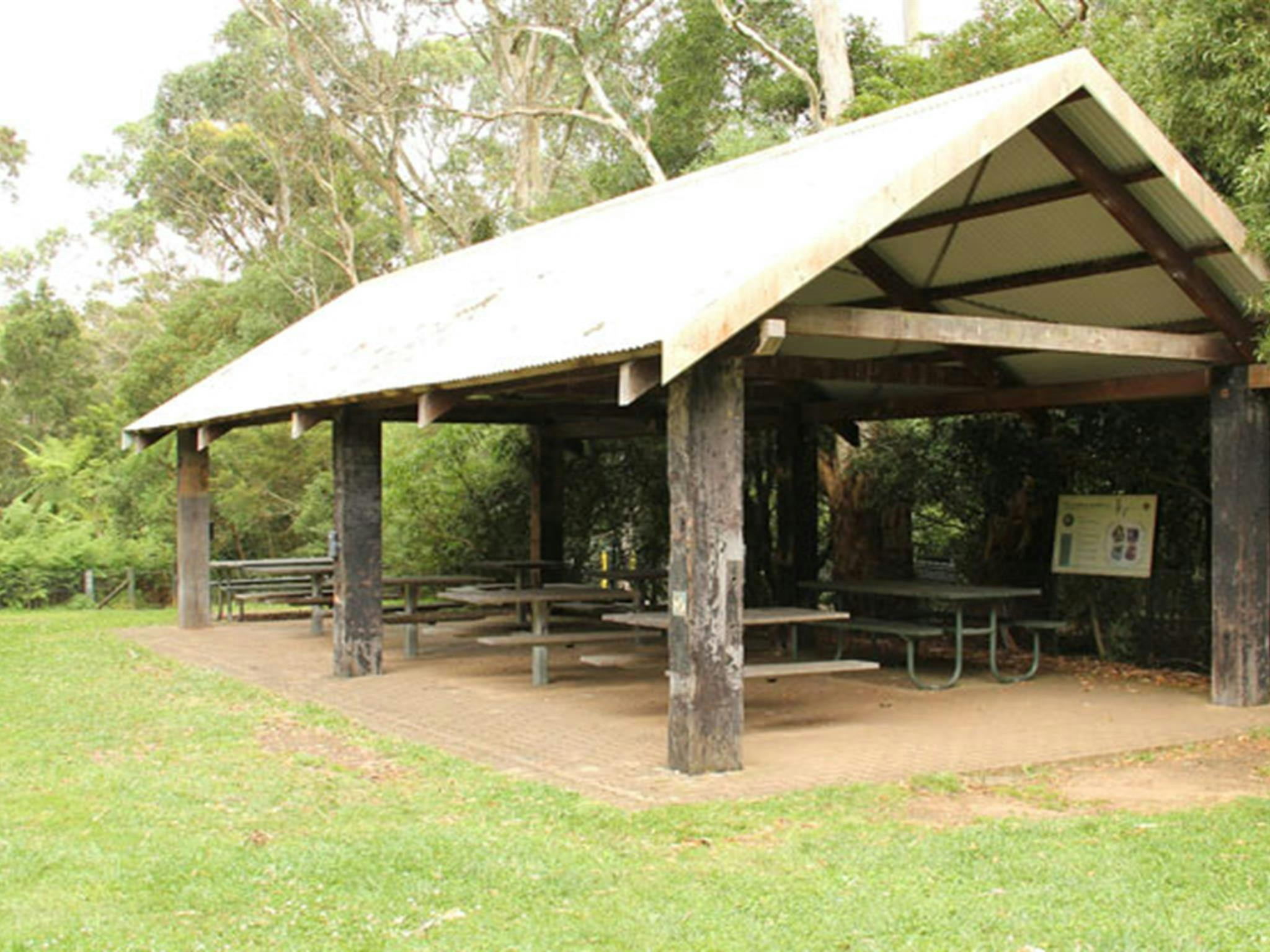 Fitzroy Falls picnic area, Morton National Park. Photo: John Yurasek/NSW Government