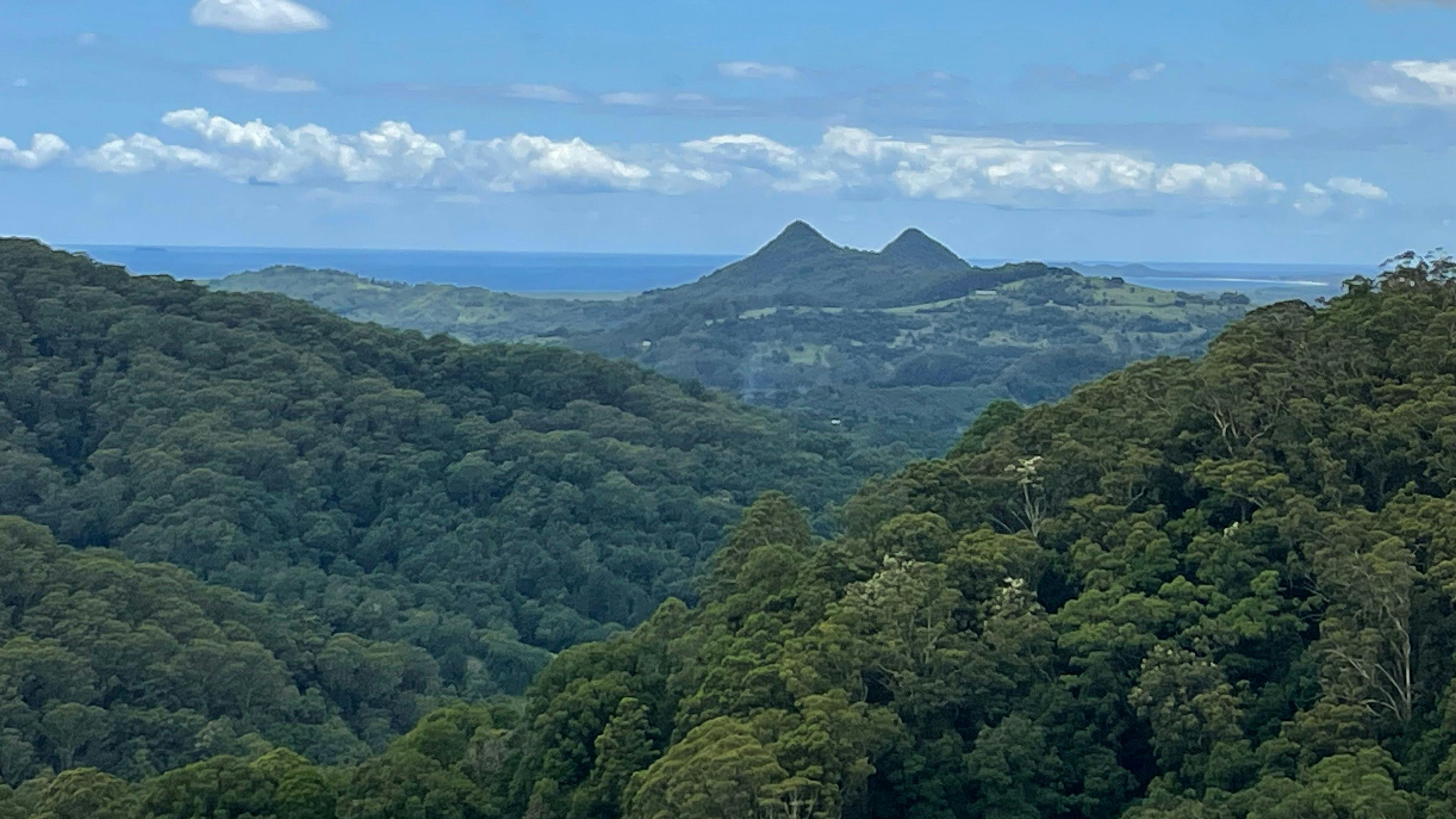 Lovely summer weather.